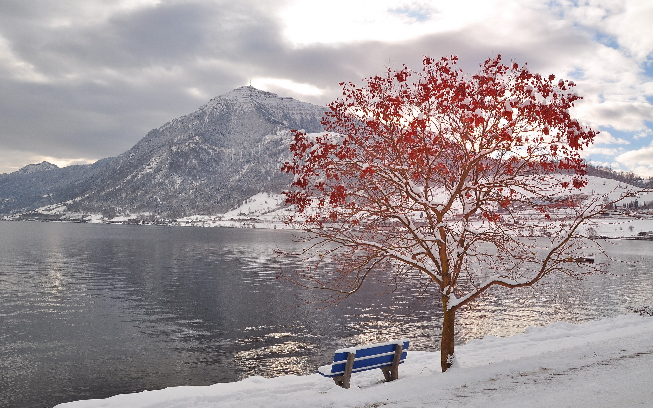 Snowy mountains and lake with a tree and bench HD Wallpaper