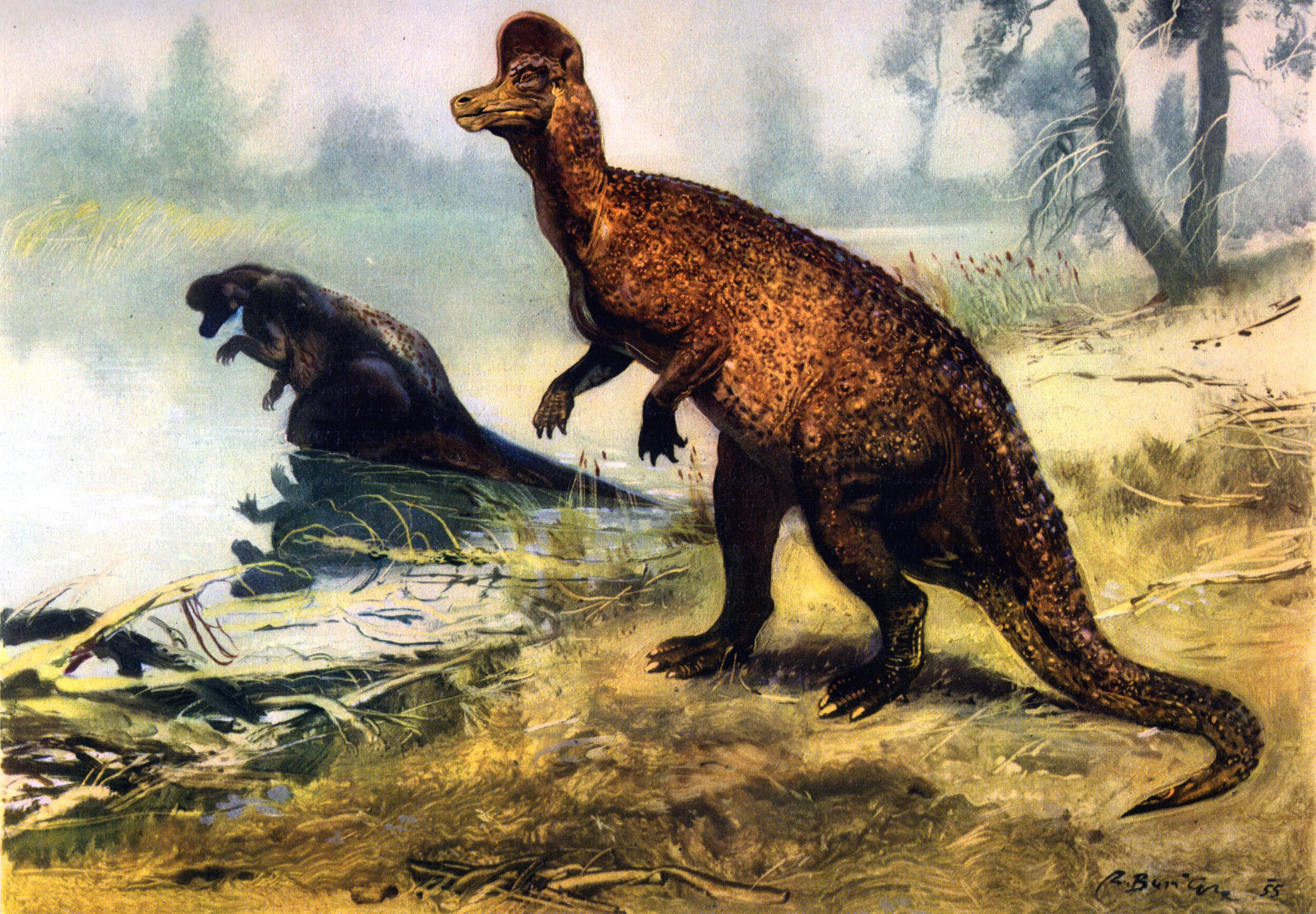 Two dinosaurs in a prehistoric landscape HD Wallpaper