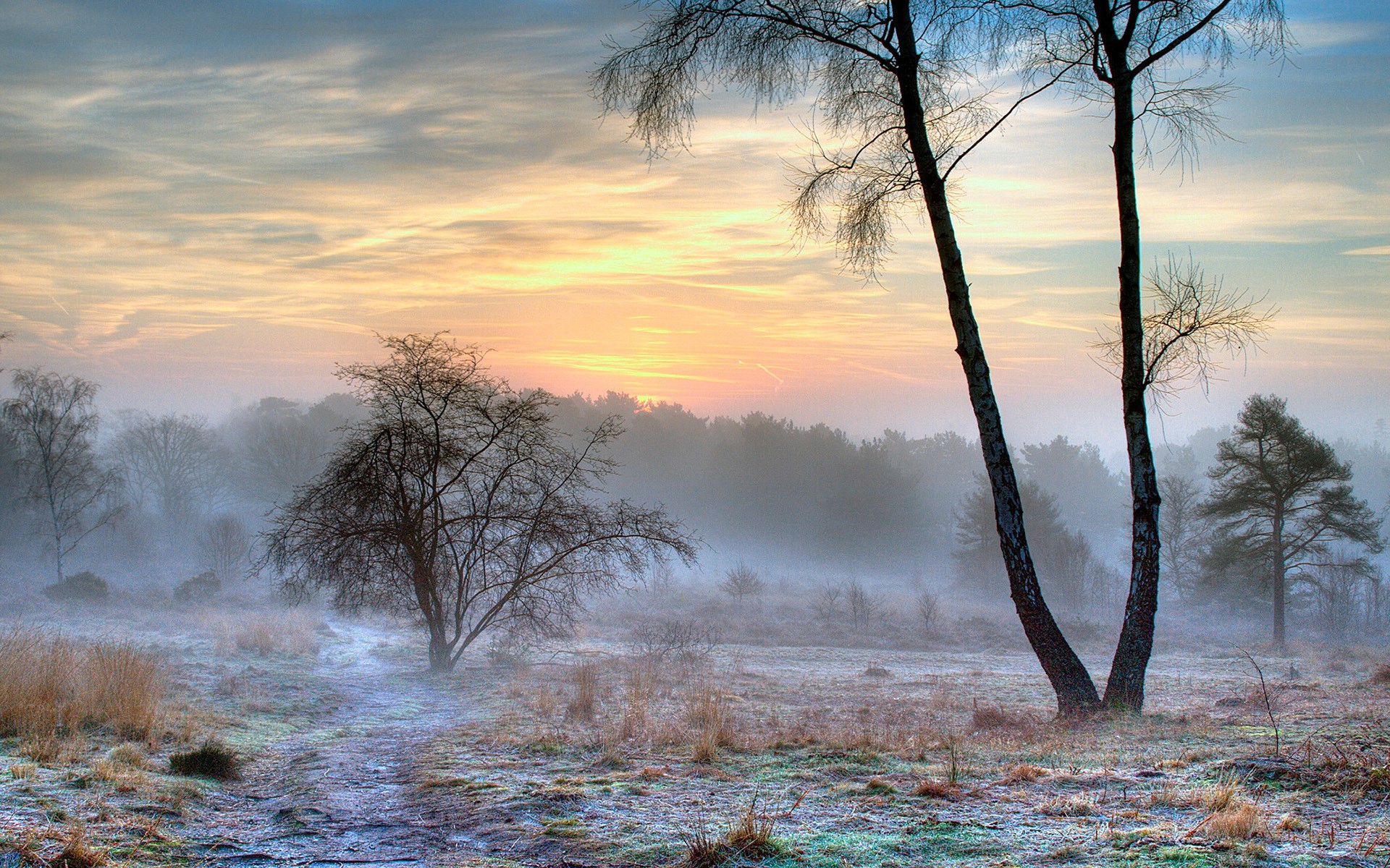 Misty winter sunrise over a frosty landscape HD Wallpaper