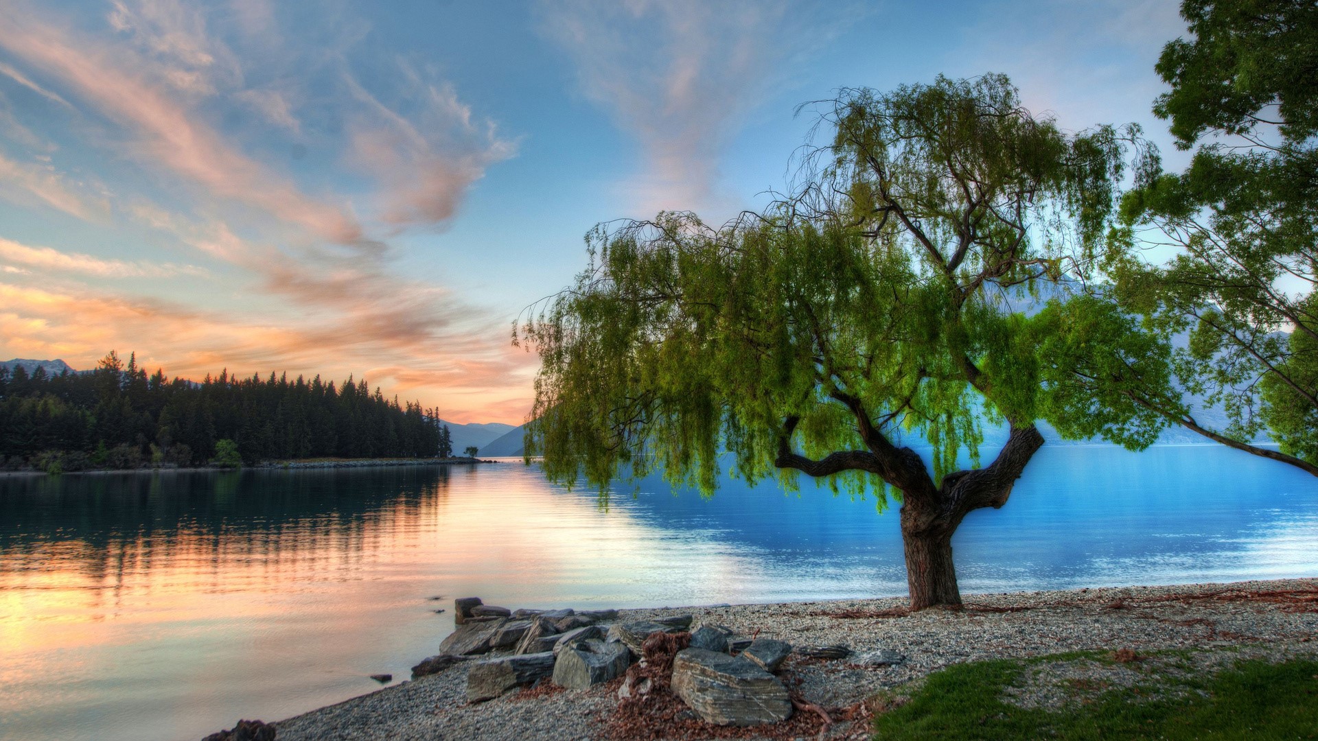 Sunset over a lake with a weeping willow tree HD Wallpaper