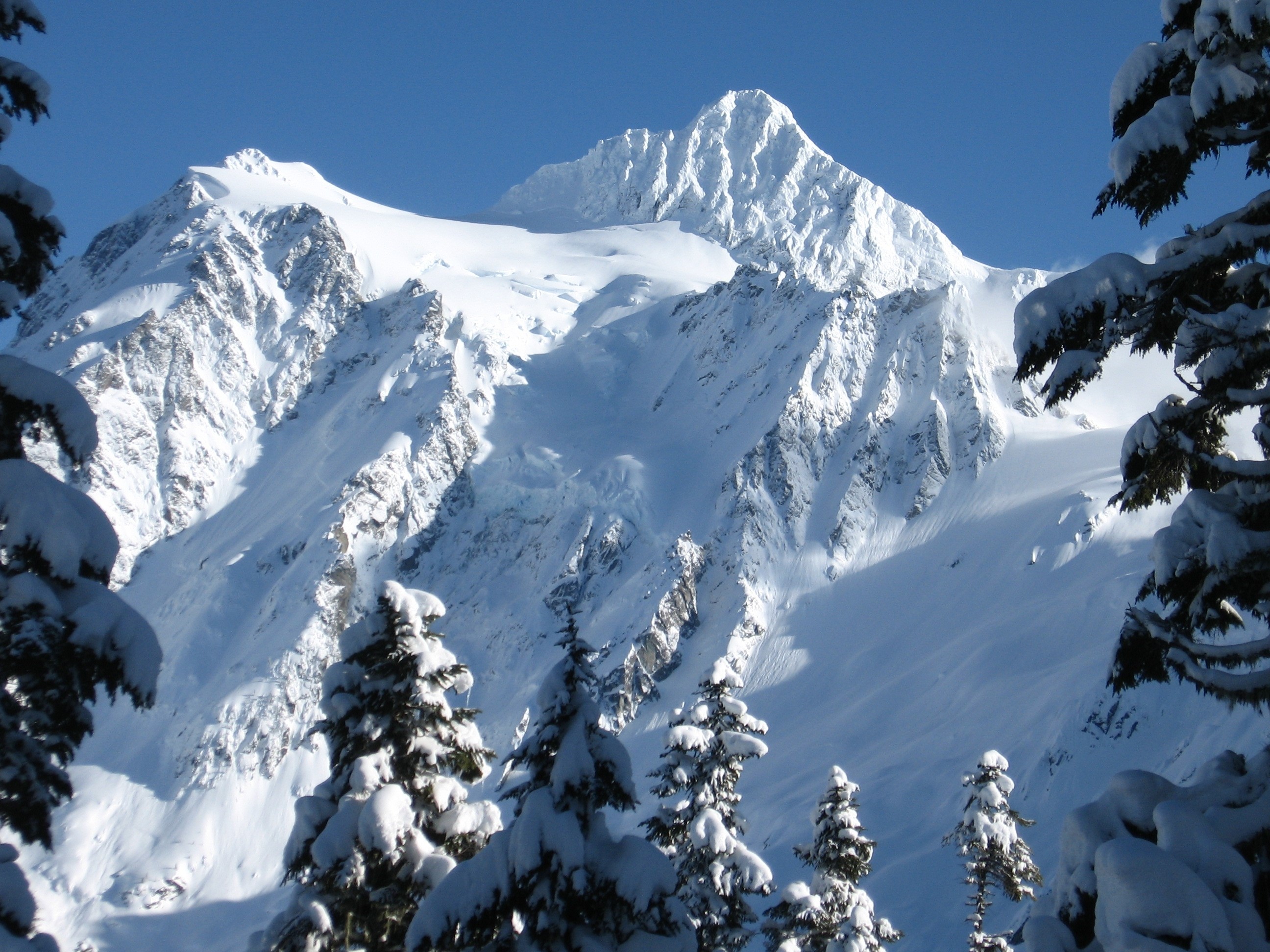 Snow-covered mountain peak with evergreen trees HD Wallpaper