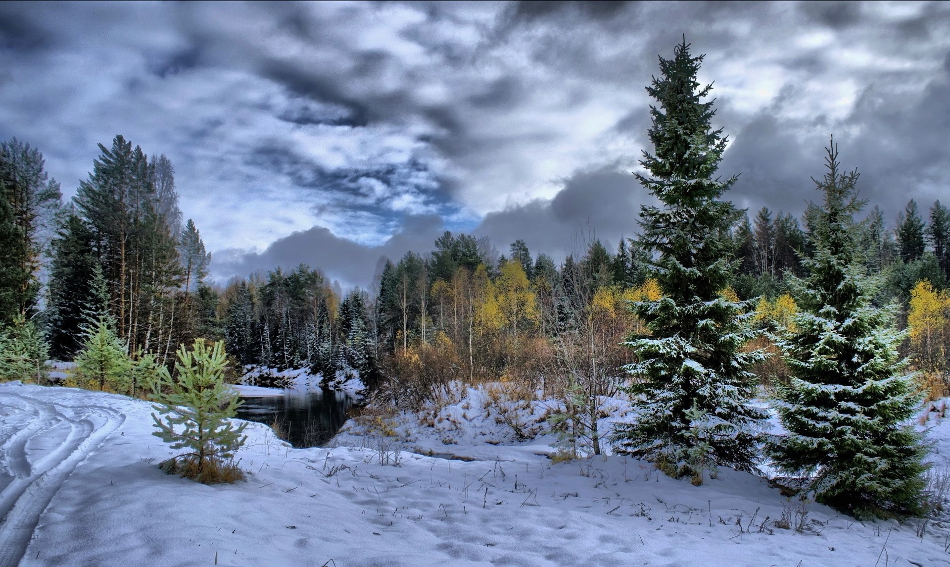 Winter landscape with snow-covered trees and a river HD Wallpaper
