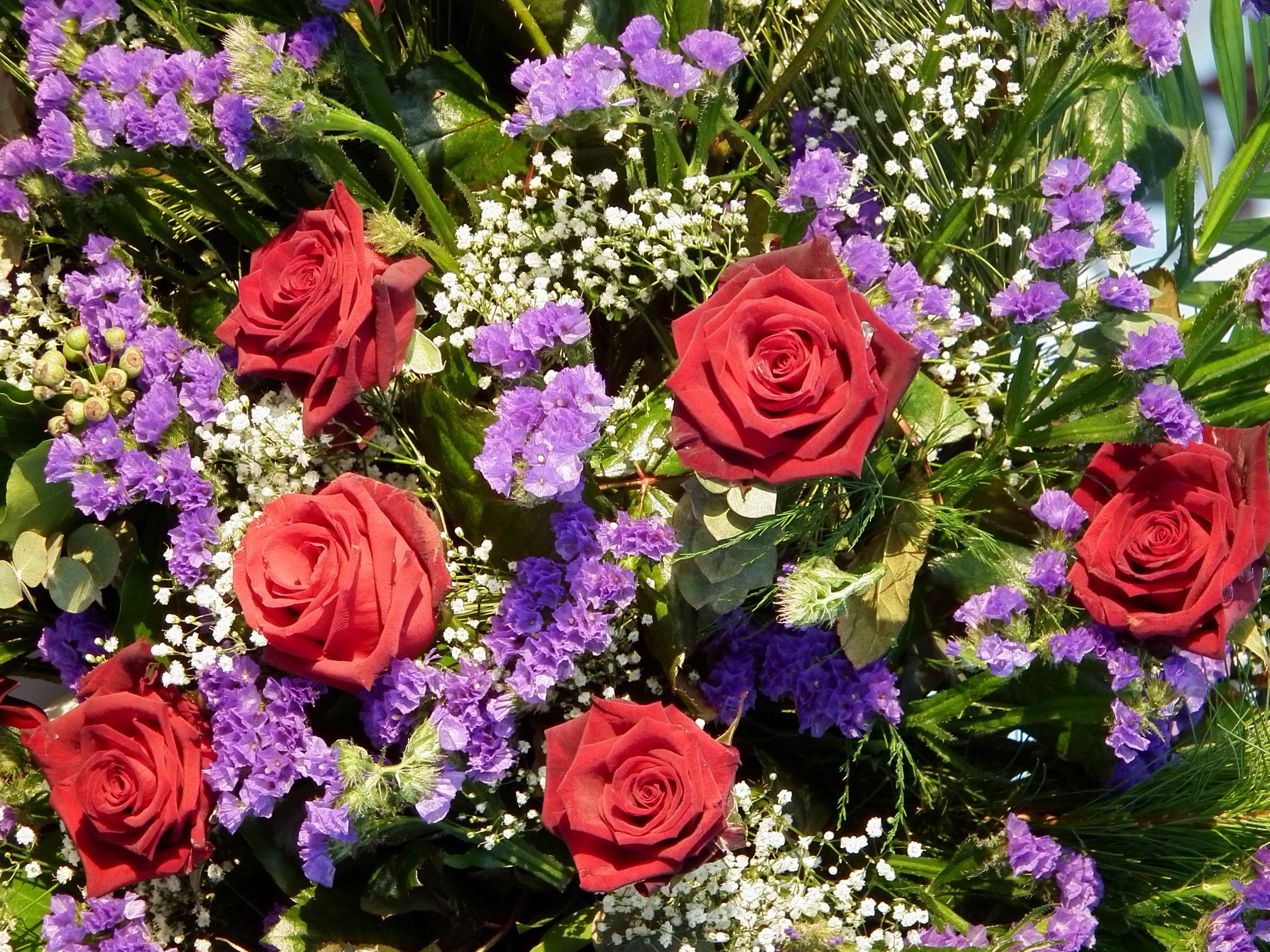 Bouquet of red roses and purple flowers HD Wallpaper
