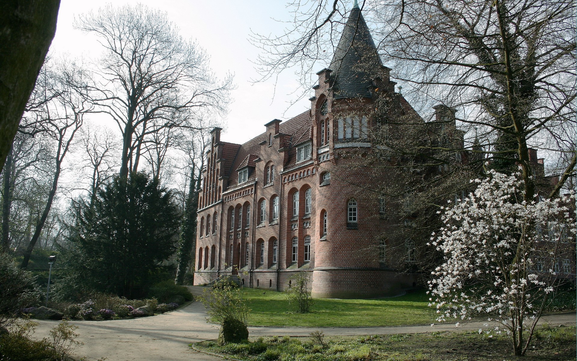 Brick castle with a conical tower surrounded by trees HD Wallpaper