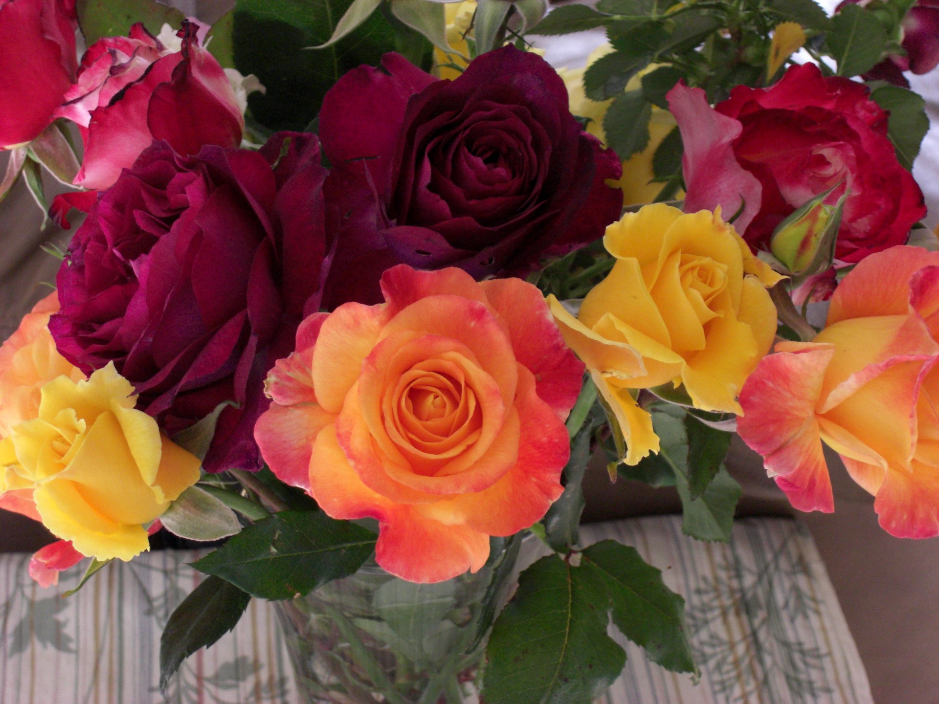 A bouquet of multi-colored roses HD Wallpaper