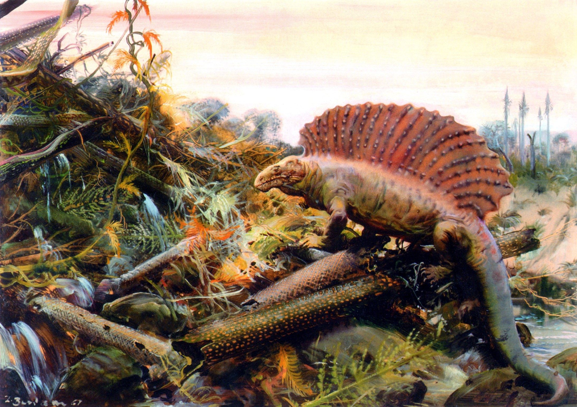 Dimetrodon in a prehistoric swamp with ferns and logs HD Wallpaper