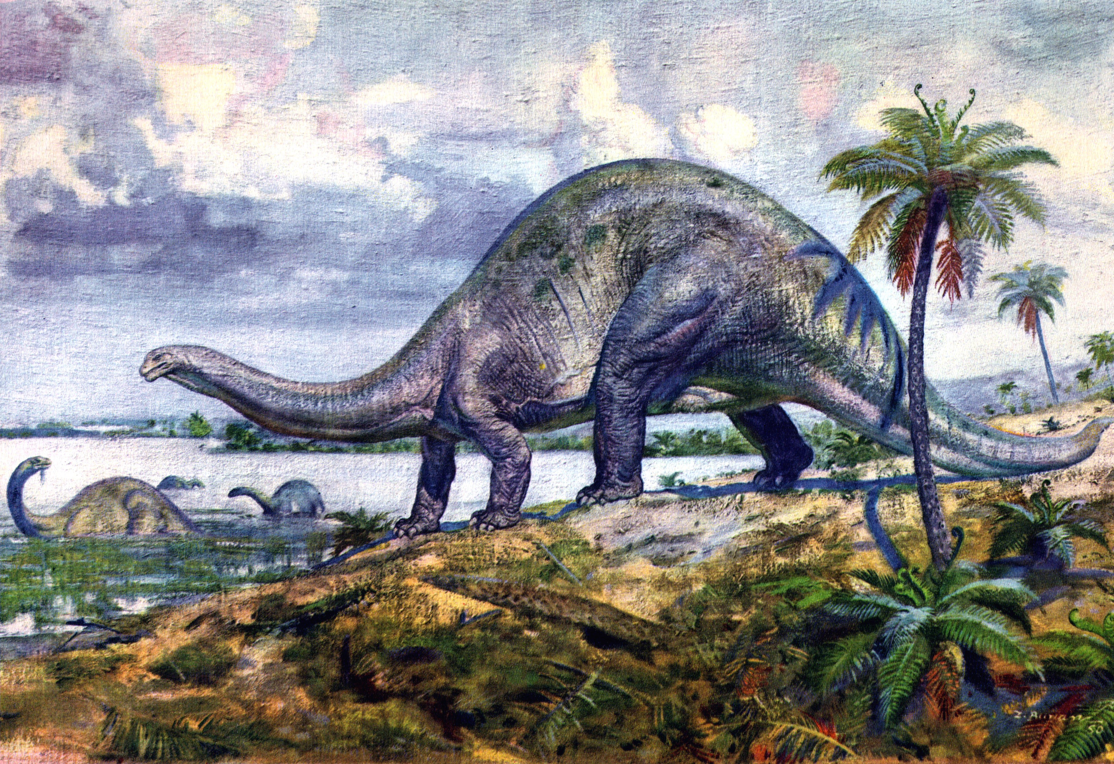 Sauropod dinosaurs in a prehistoric landscape HD Wallpaper