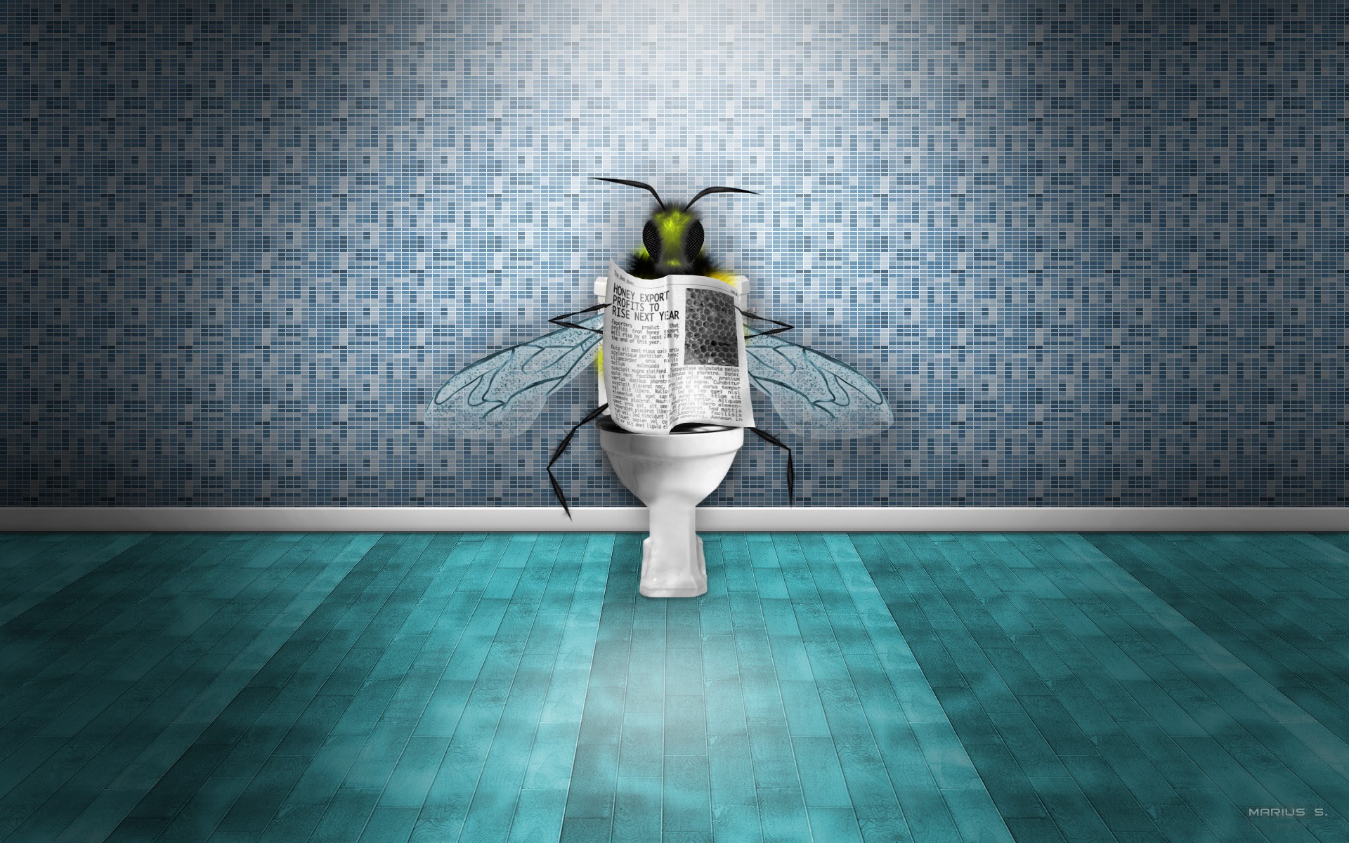 Fly reading newspaper on toilet HD Wallpaper