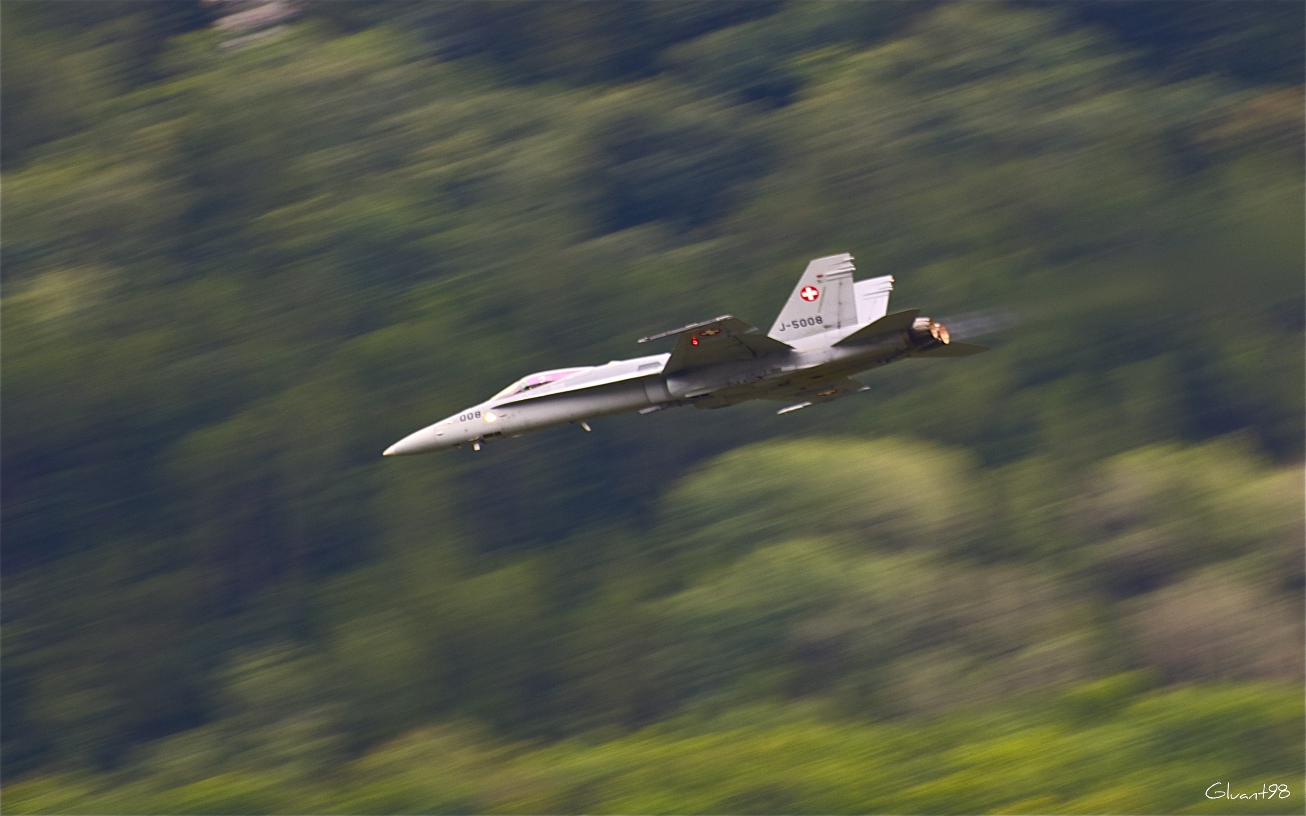 Swiss Air Force F/A-18 Hornet flying over trees HD Wallpaper