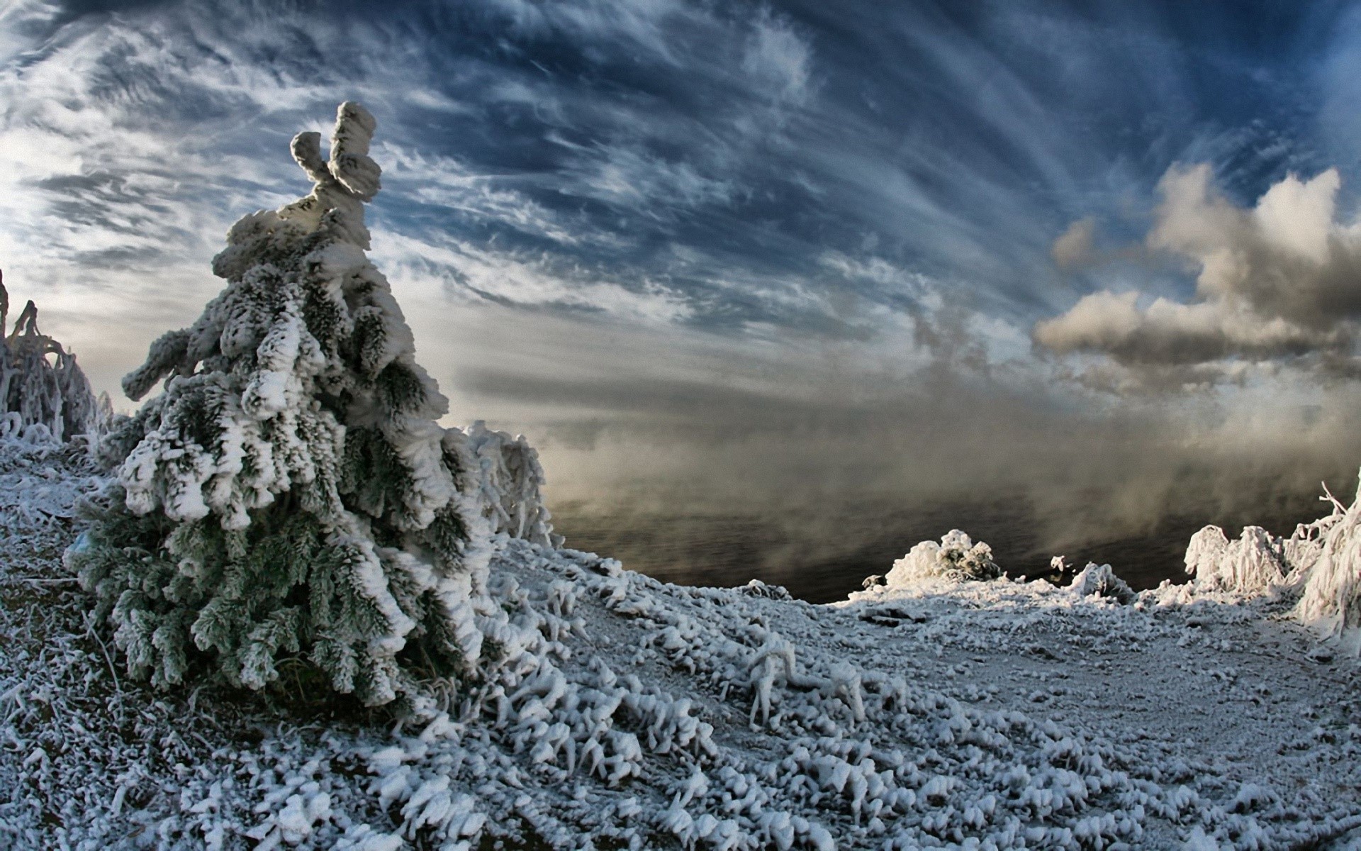 Winter landscape with snow-covered trees and dramatic sky HD Wallpaper