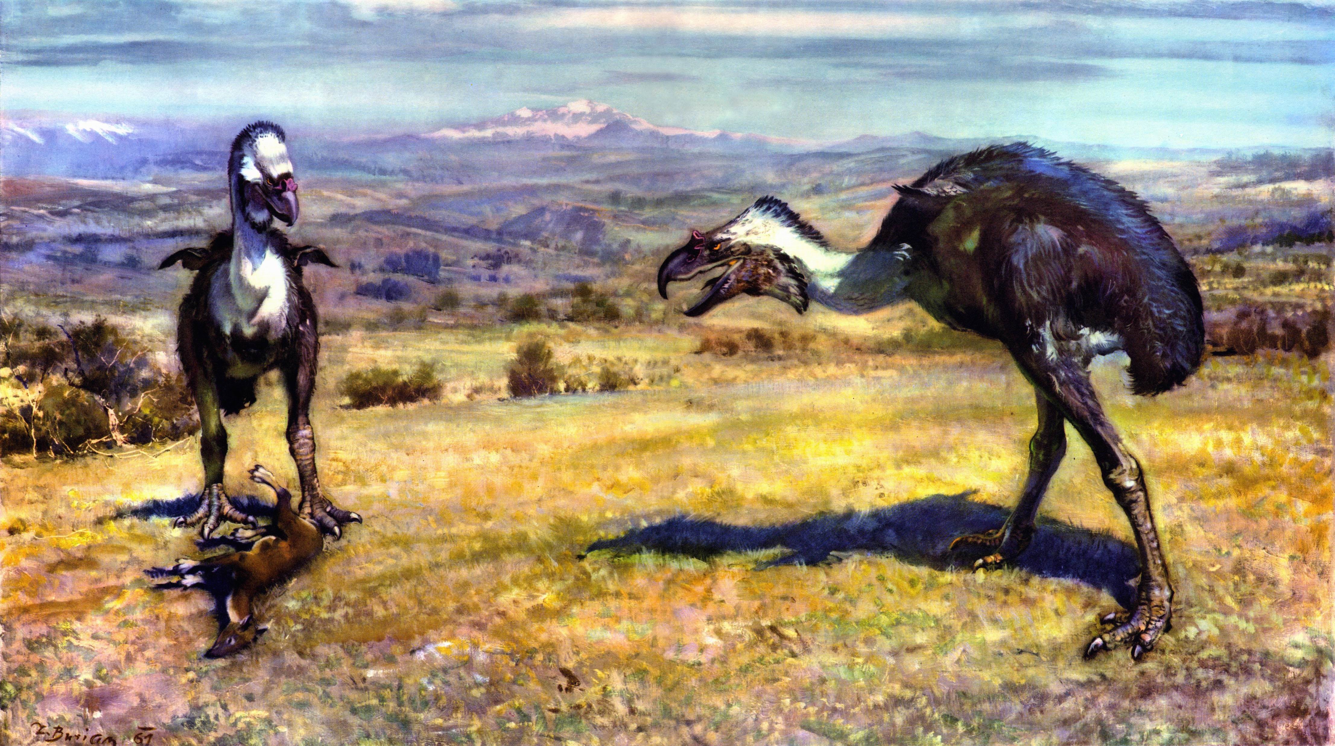 4K Phororhacos Hunting Prey HD Wallpaper