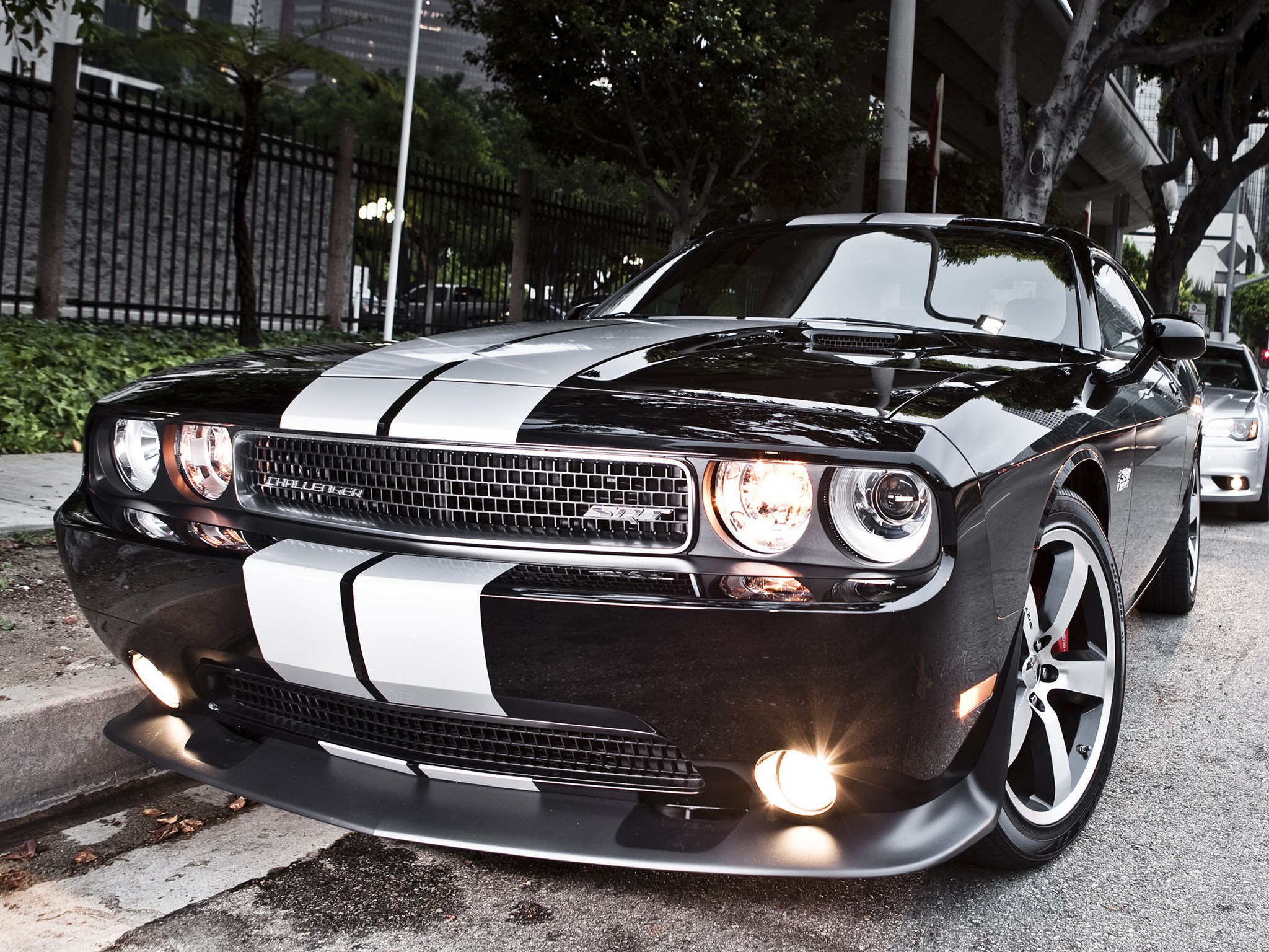 Black Dodge Challenger with white racing stripes HD Wallpaper