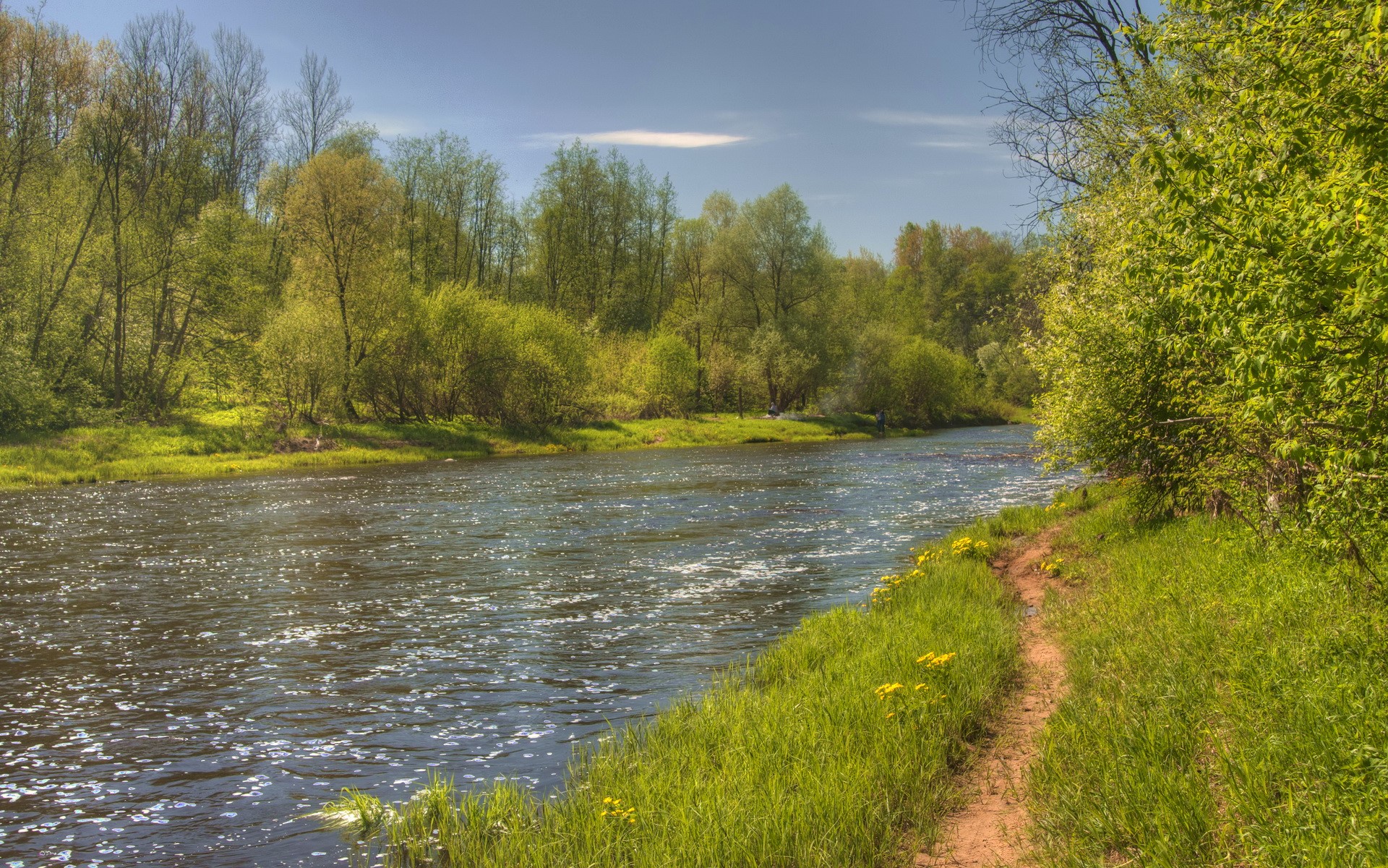 River flowing through a green forest with a dirt path HD Wallpaper