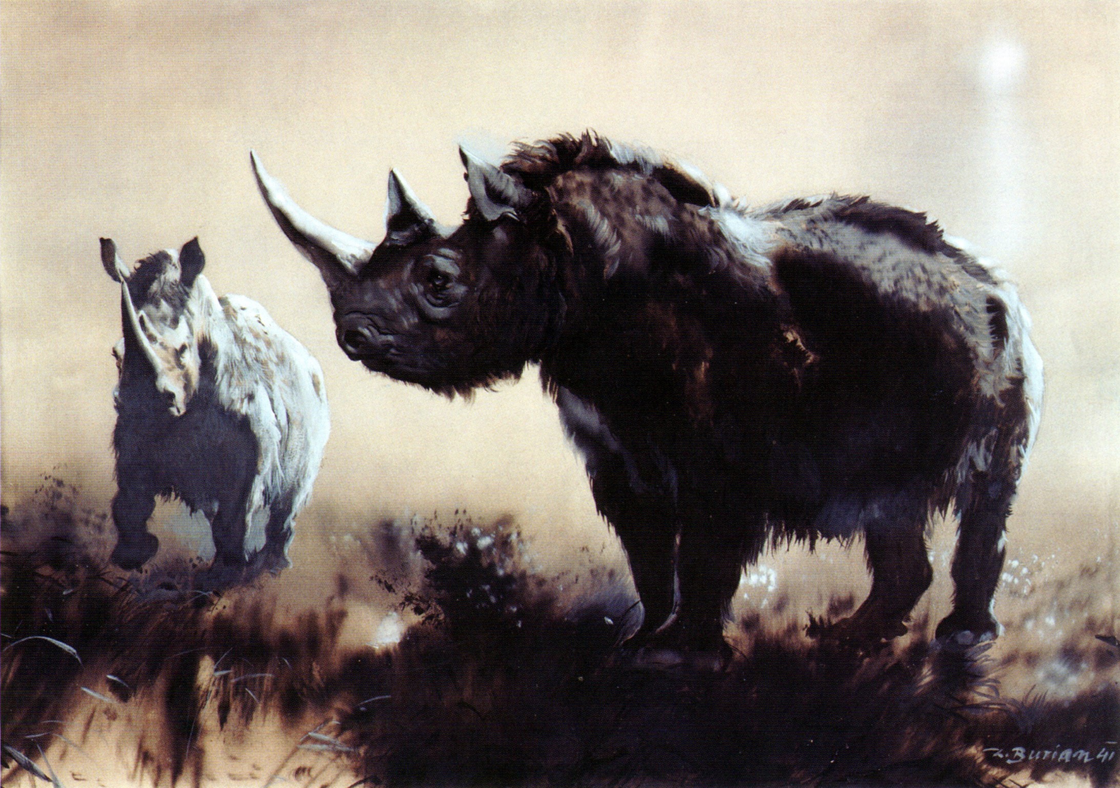 Two woolly rhinoceroses in a grassy field HD Wallpaper