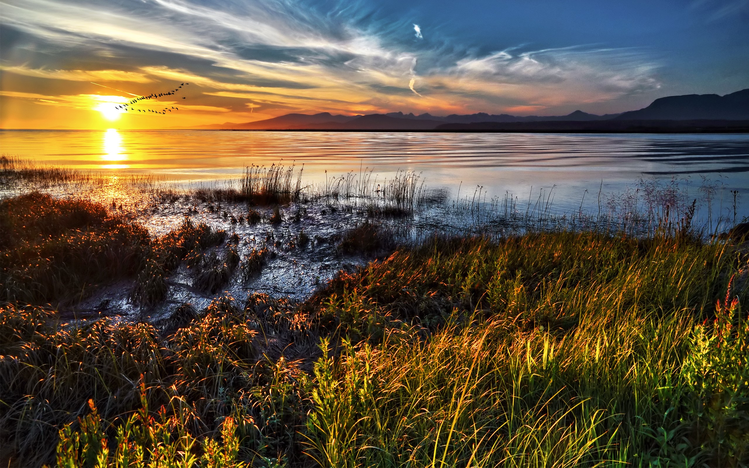Sunset over a calm body of water with birds flying HD Wallpaper
