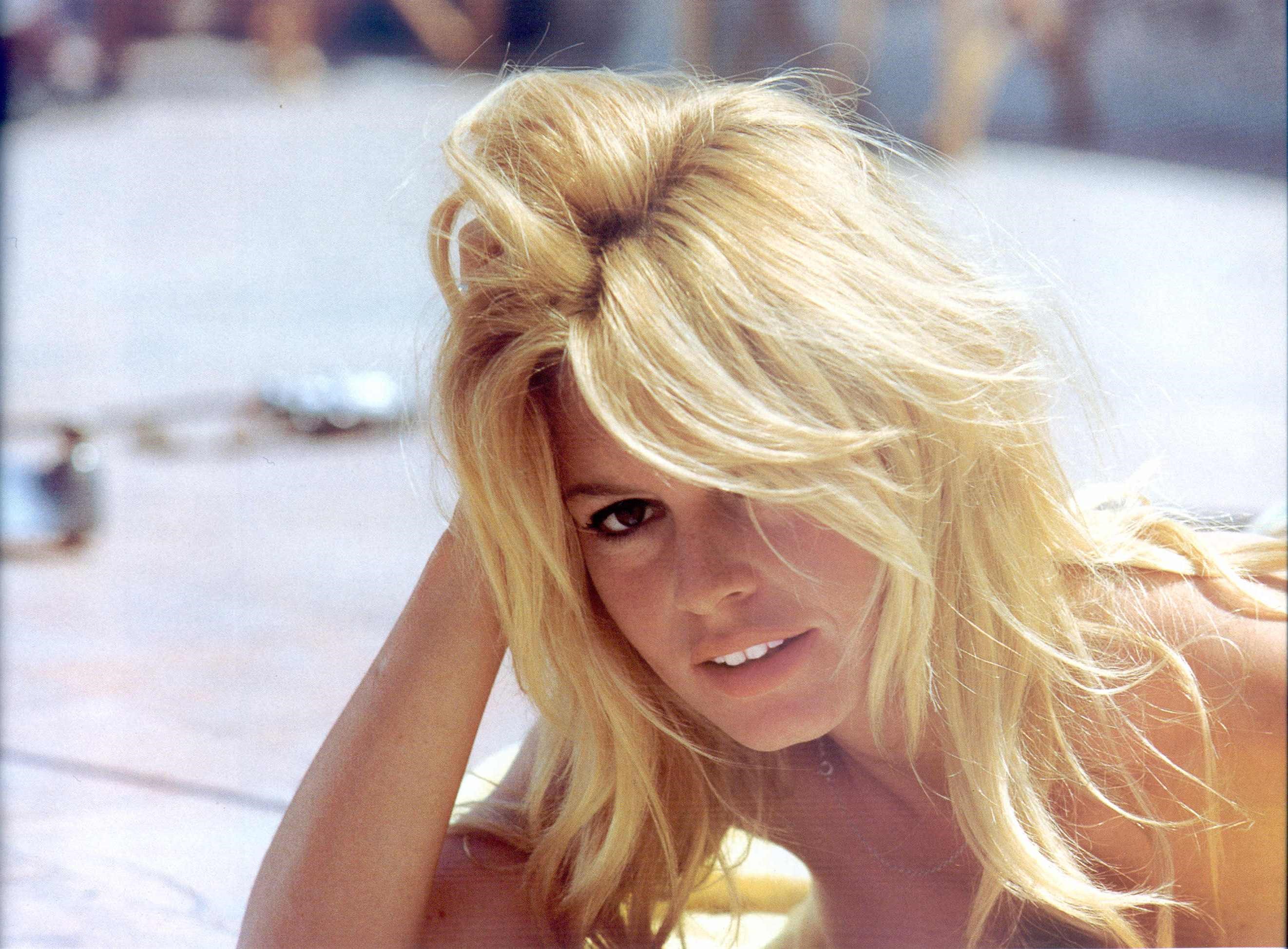 Brigitte Bardot Close-Up Portrait HD Wallpaper