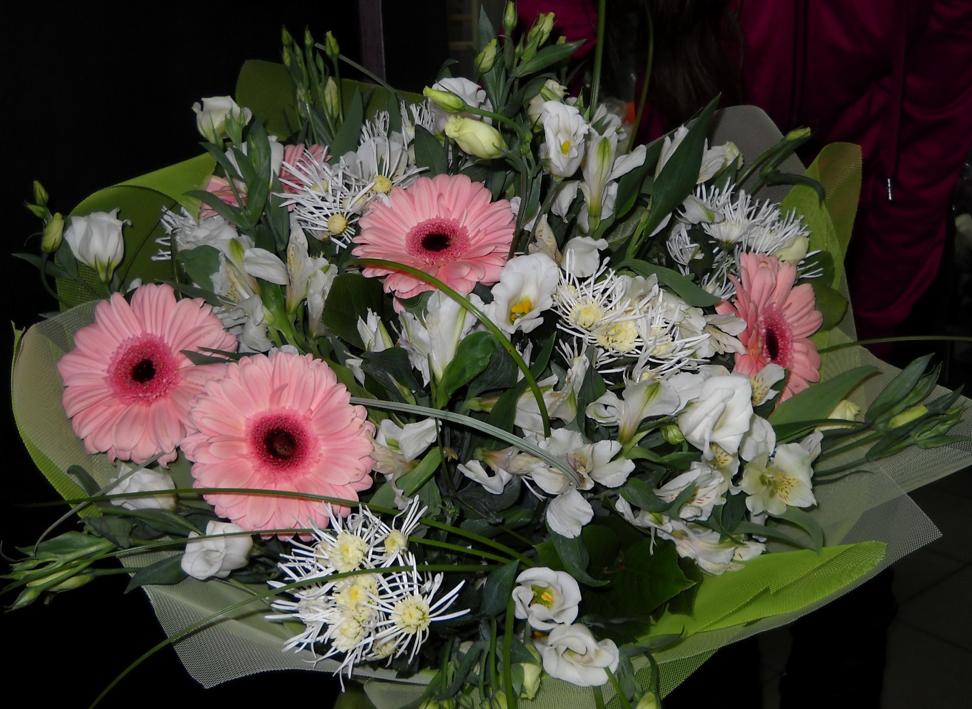 Bouquet of pink gerbera daisies and white flowers HD Wallpaper