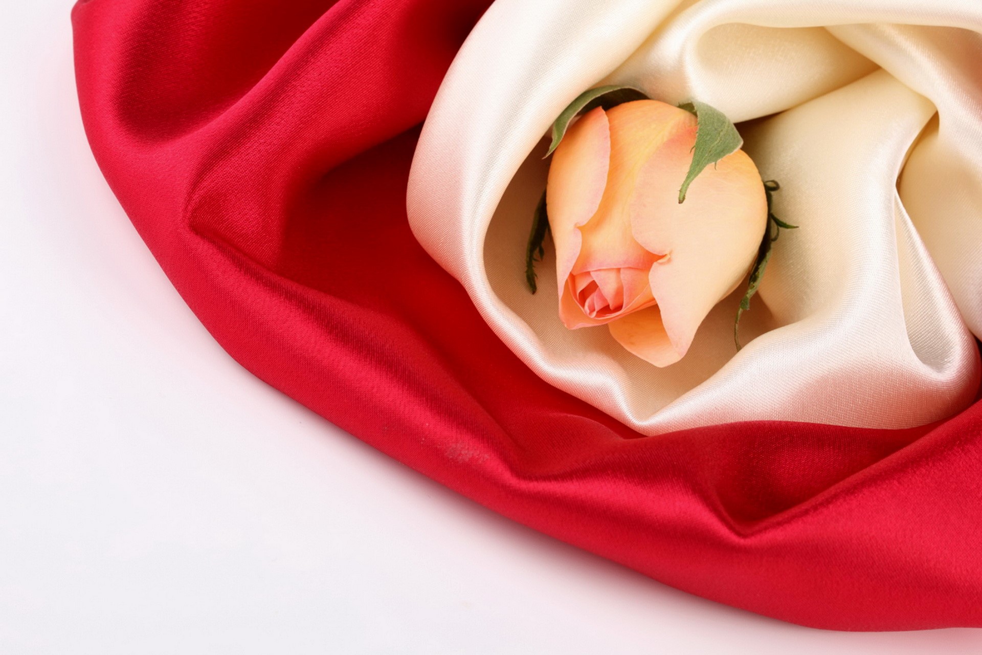 Peach rosebud nestled in red and cream silk fabric HD Wallpaper