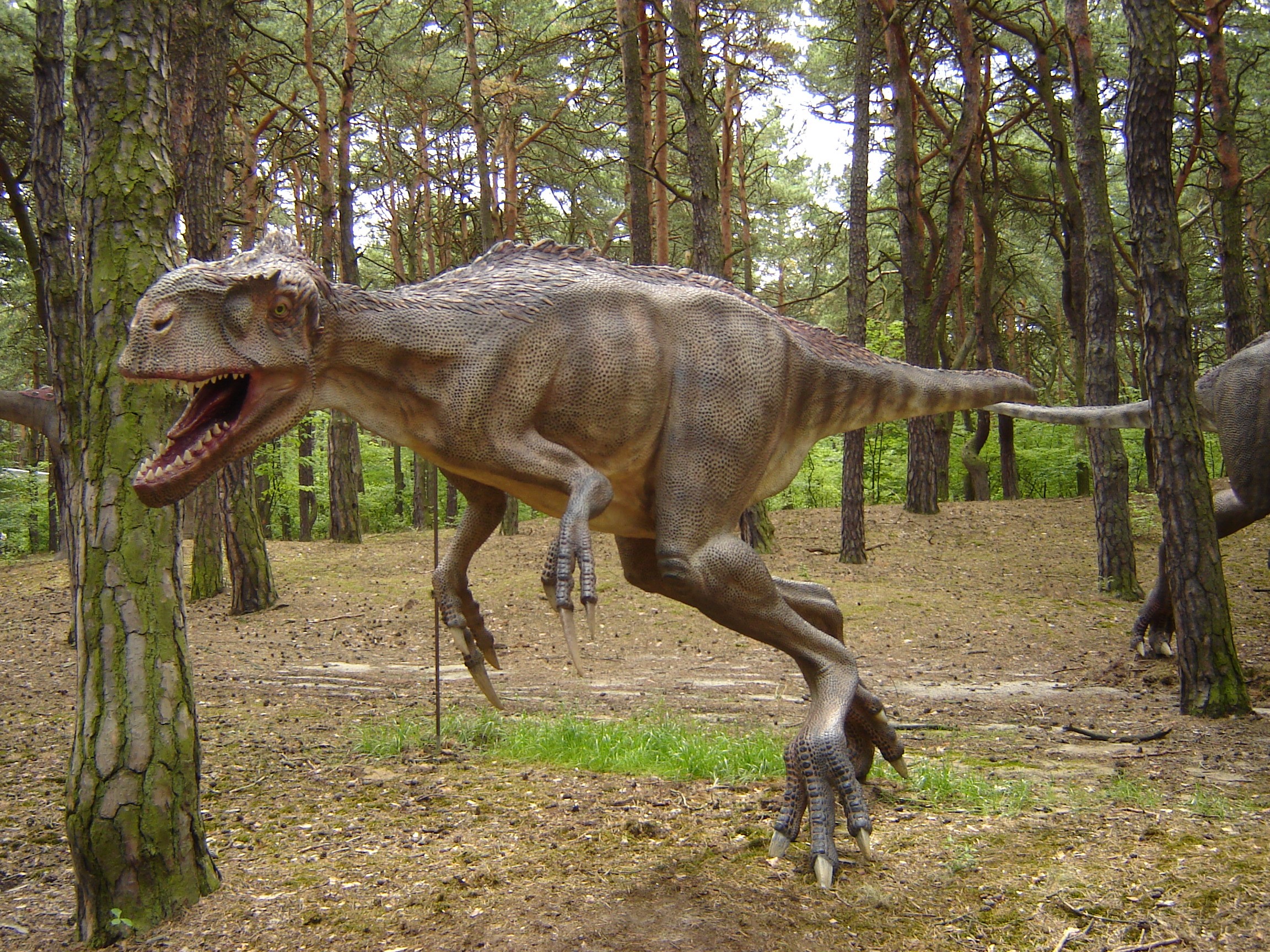 Eotyrannus dinosaur model in a forest setting HD Wallpaper