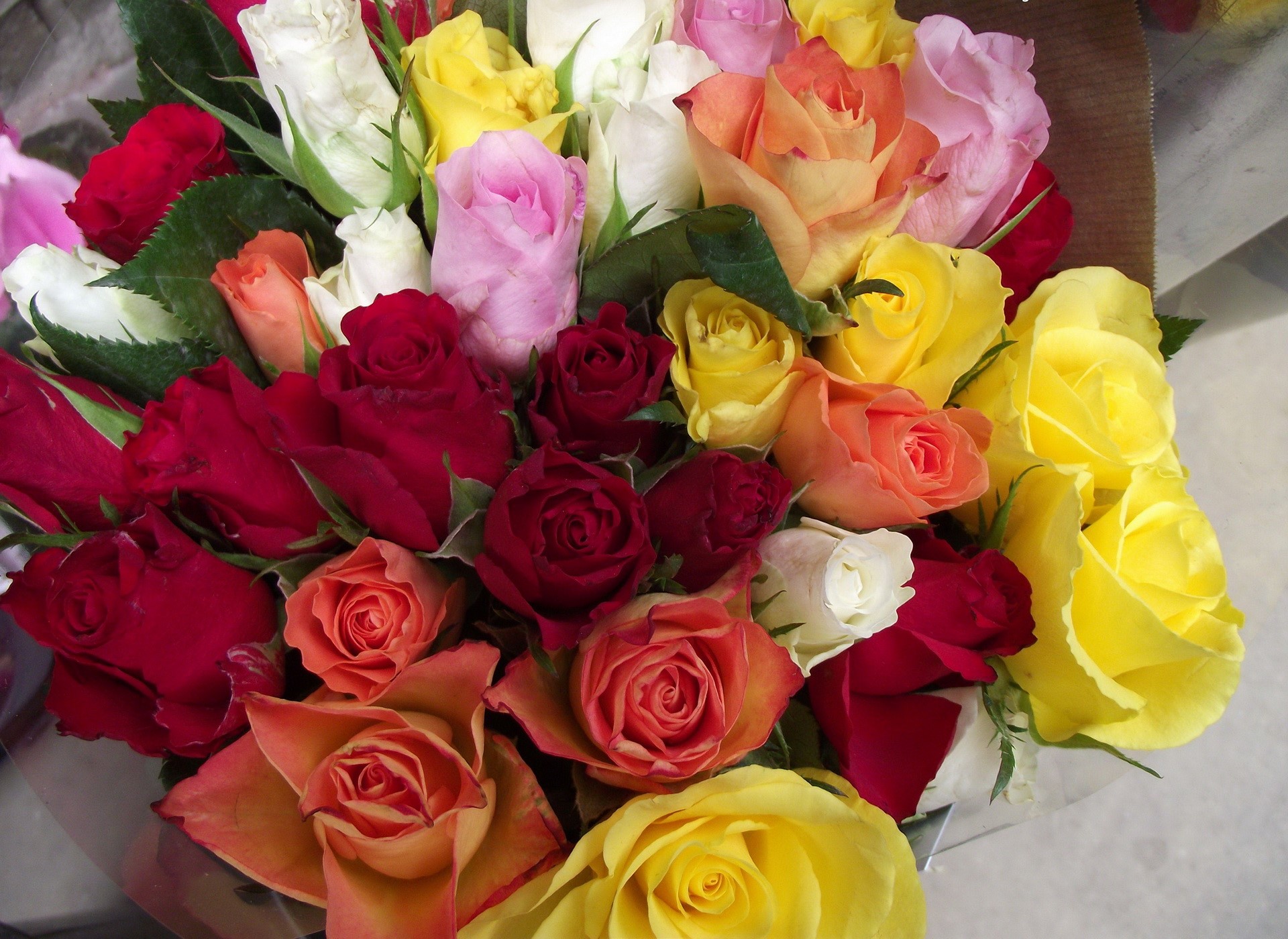 A bouquet of colorful roses HD Wallpaper