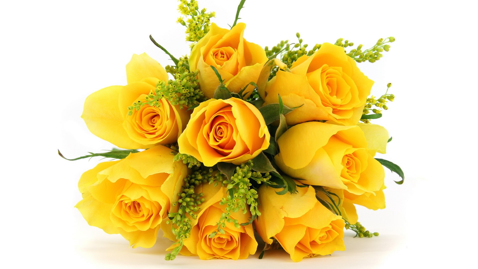 Bouquet of Yellow Roses HD Wallpaper