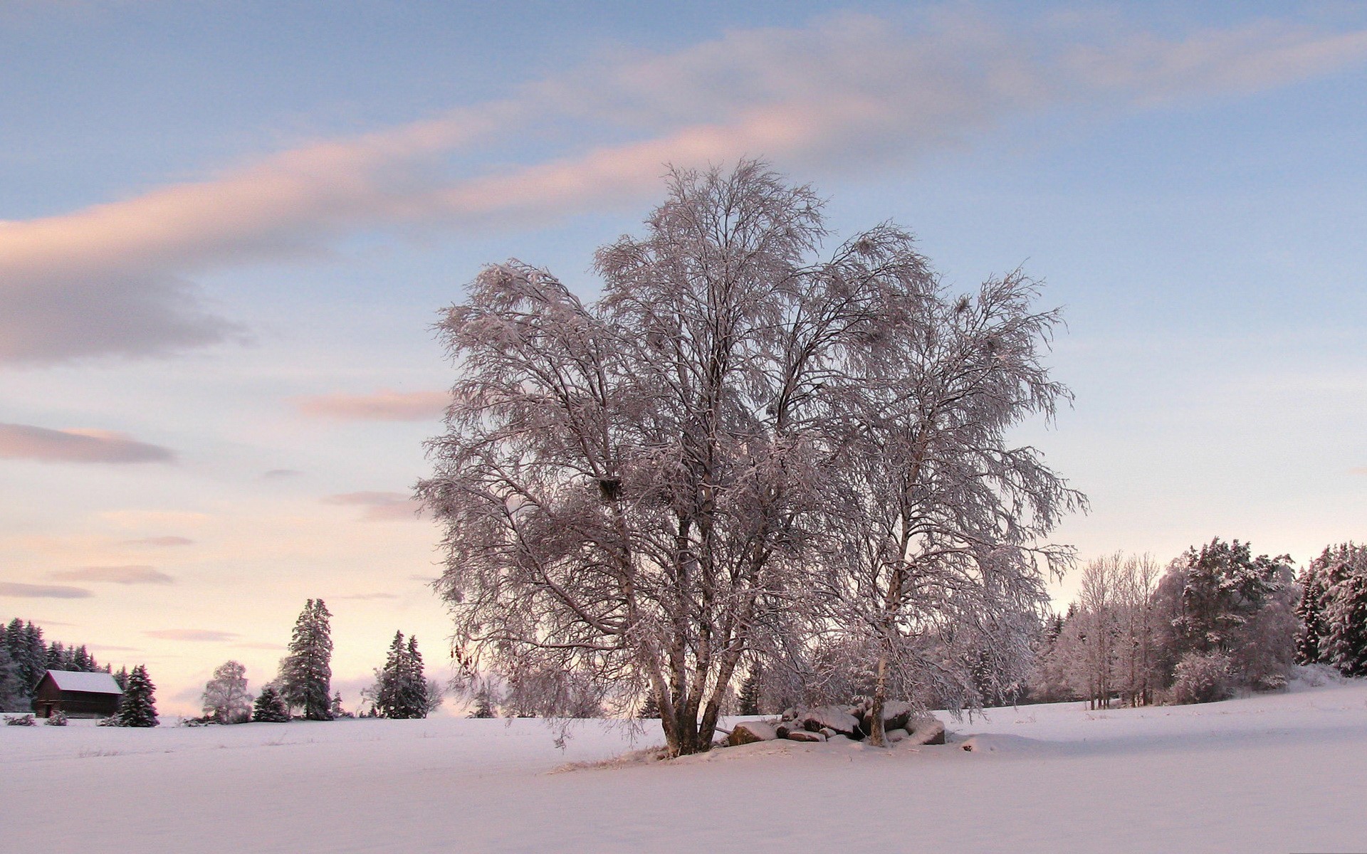 Winter landscape with snow-covered trees and a barn HD Wallpaper