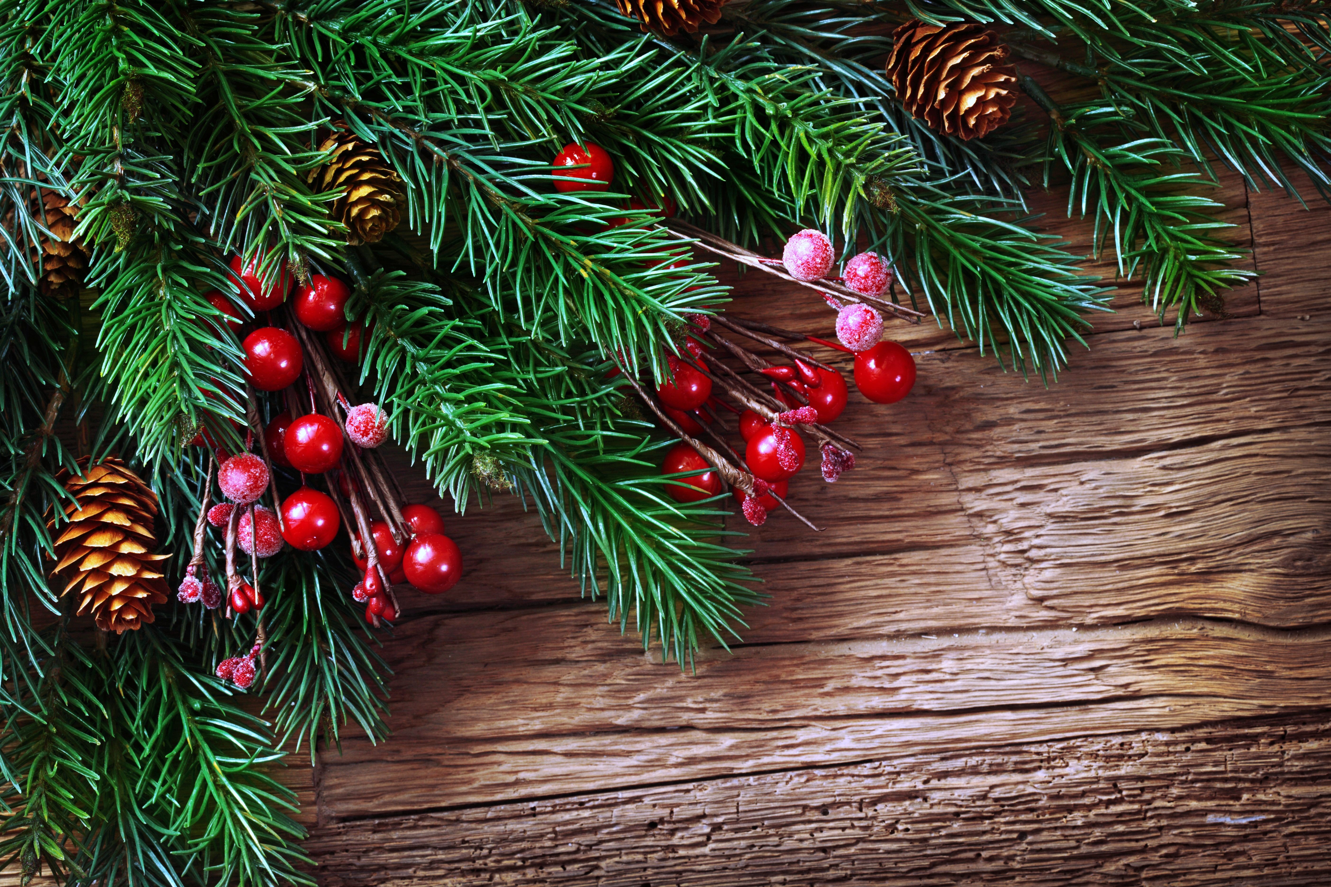 Christmas fir branches with pine cones and red berries on wood HD Wallpaper