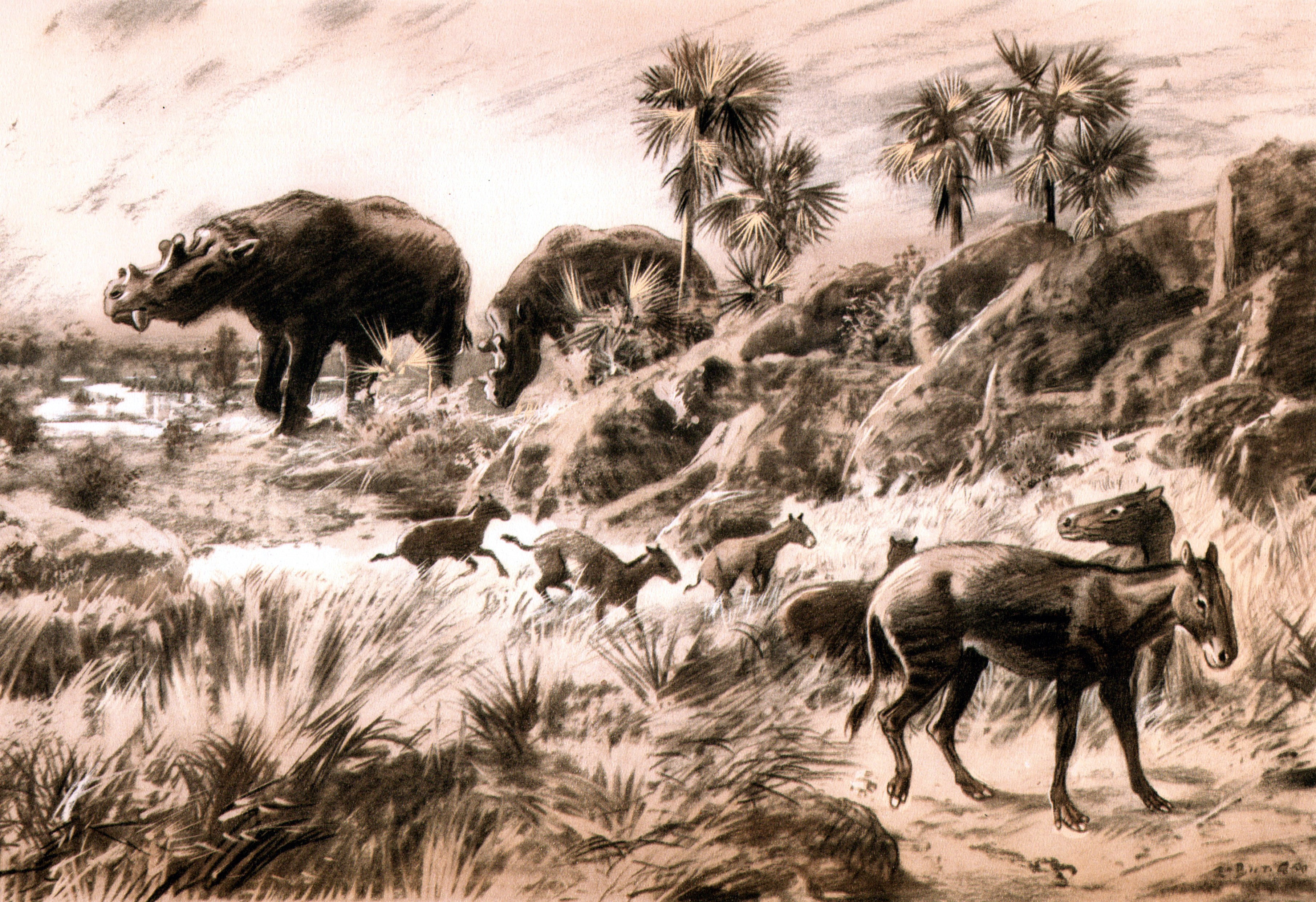 Orohippus and other ancient animals in a prehistoric landscape HD Wallpaper