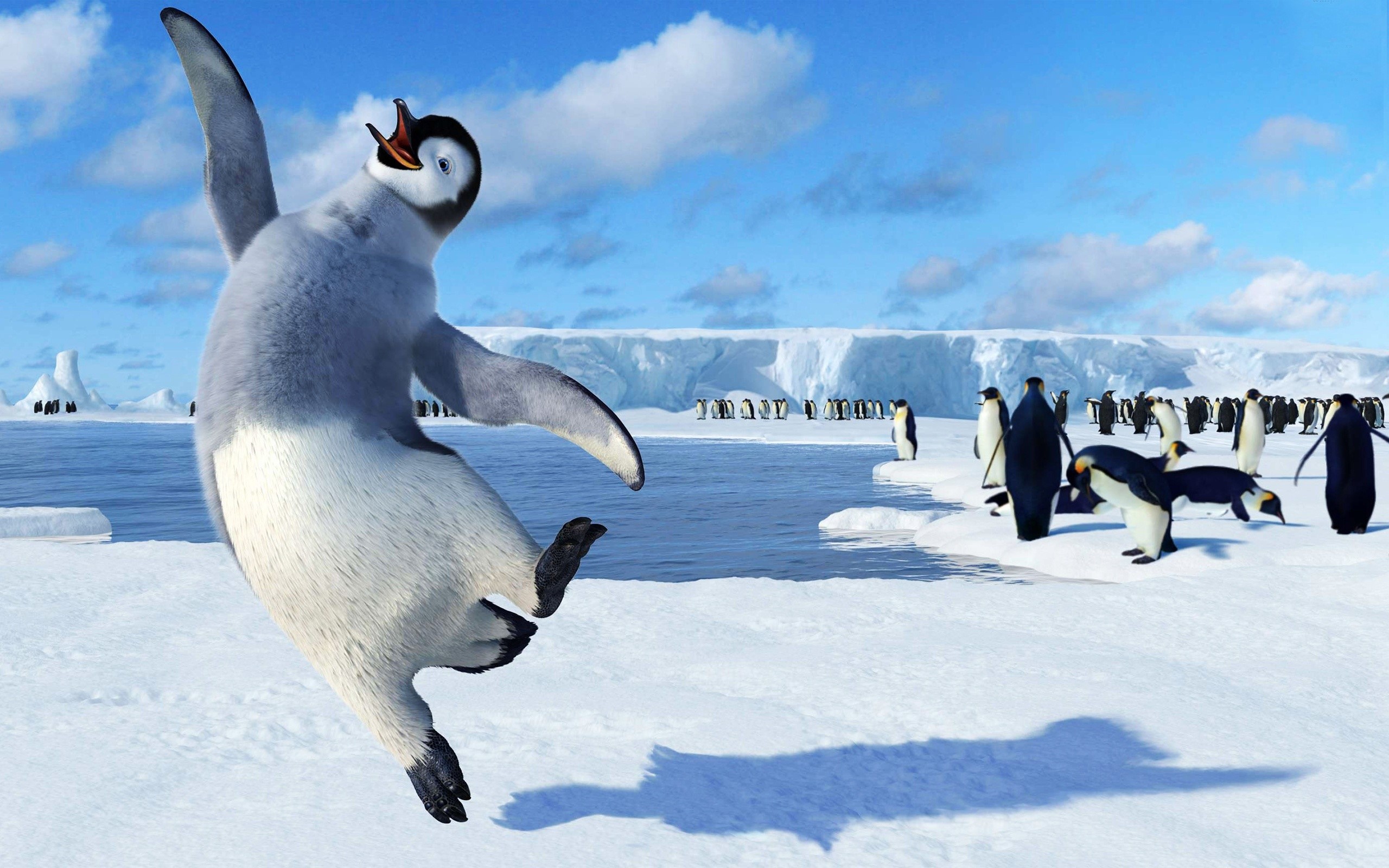 Mumble the penguin from Happy Feet jumping HD Wallpaper