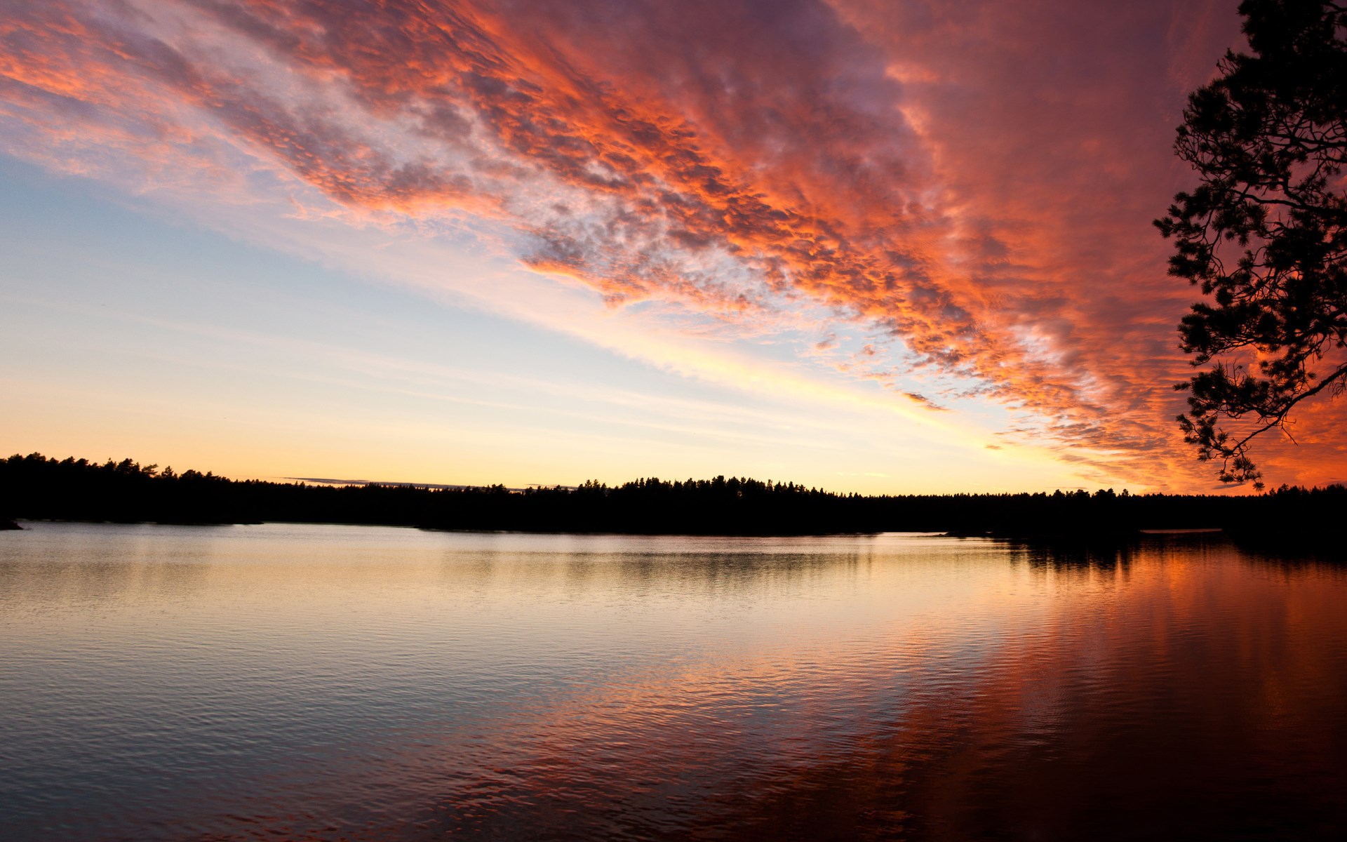 Sunset over a lake with colorful clouds and silhouetted trees HD Wallpaper