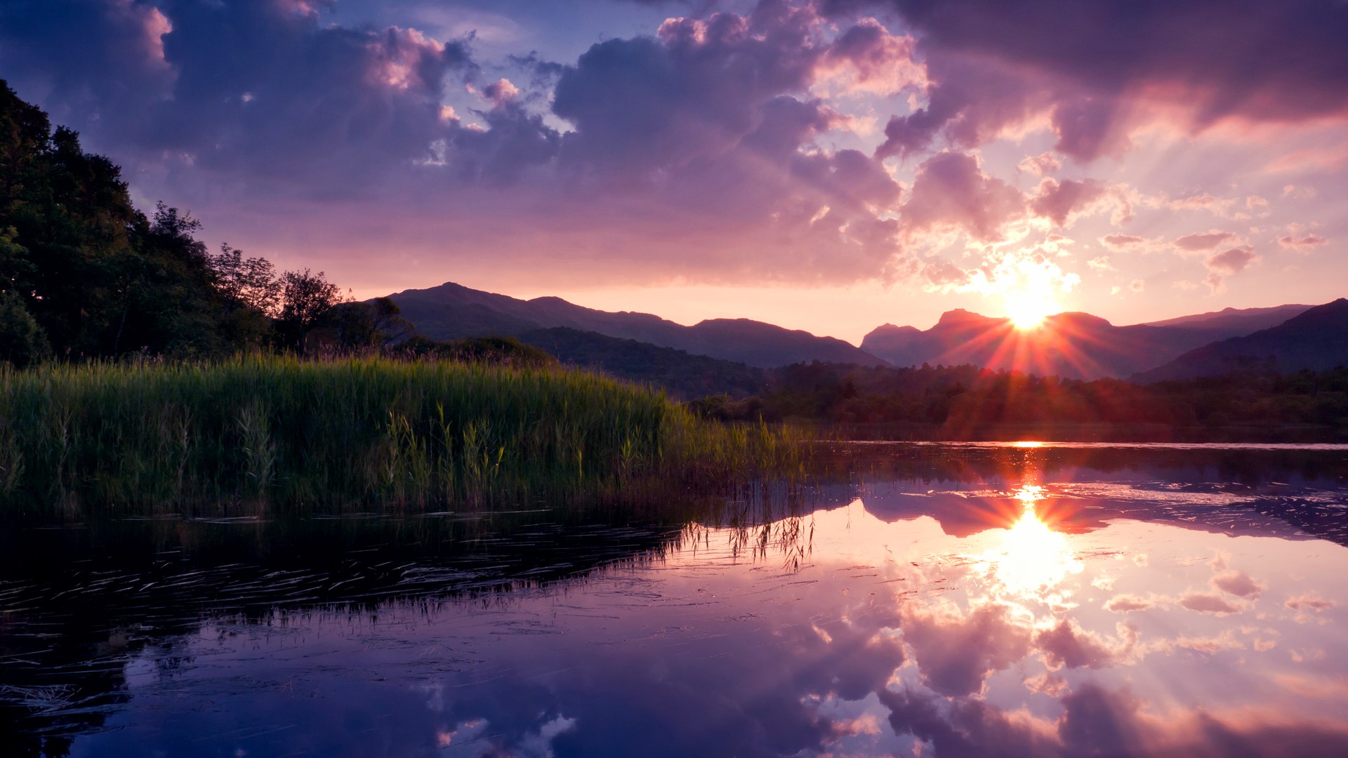 Sunset over mountains and lake with reeds HD Wallpaper