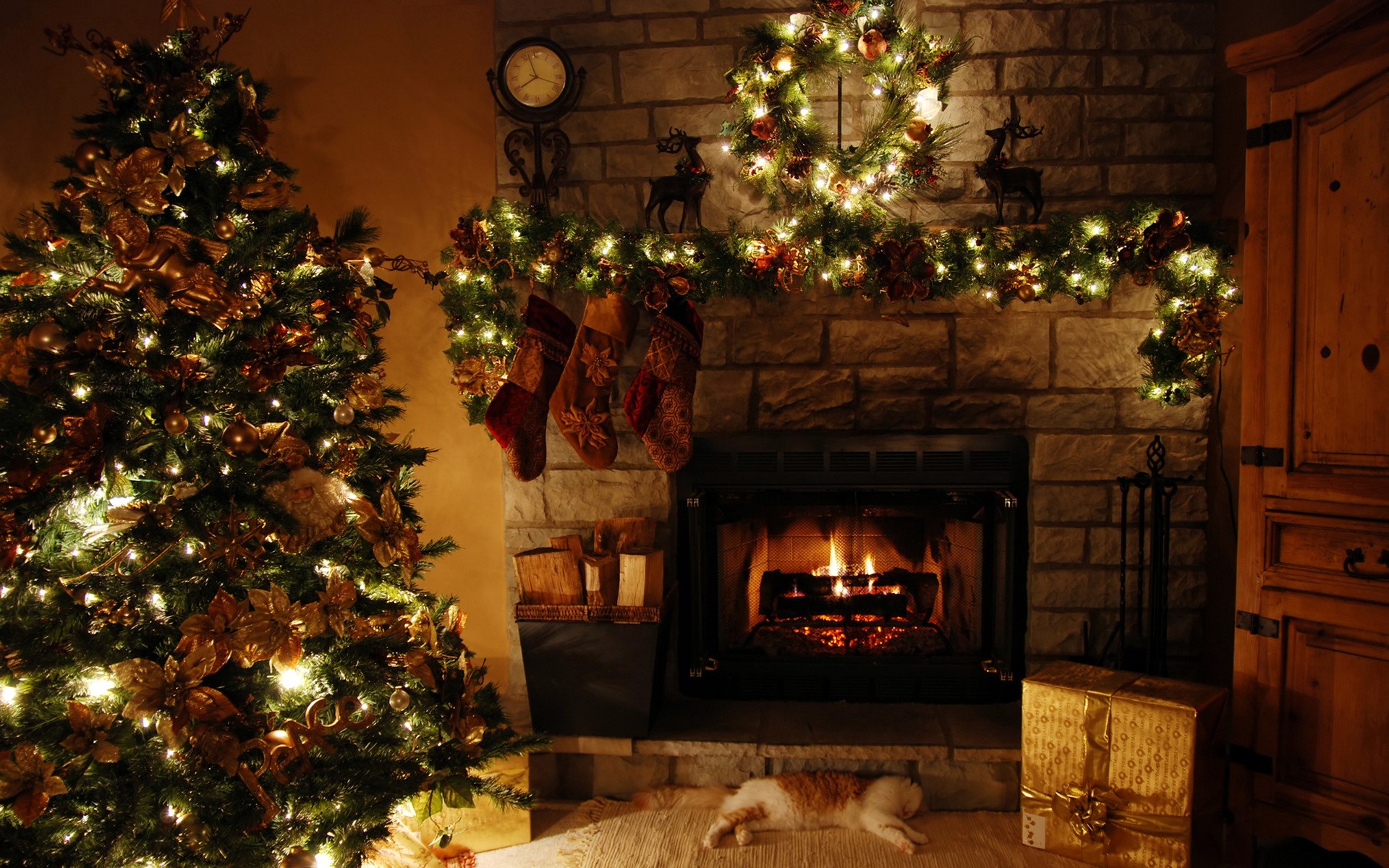 Christmas tree and fireplace with cat HD Wallpaper
