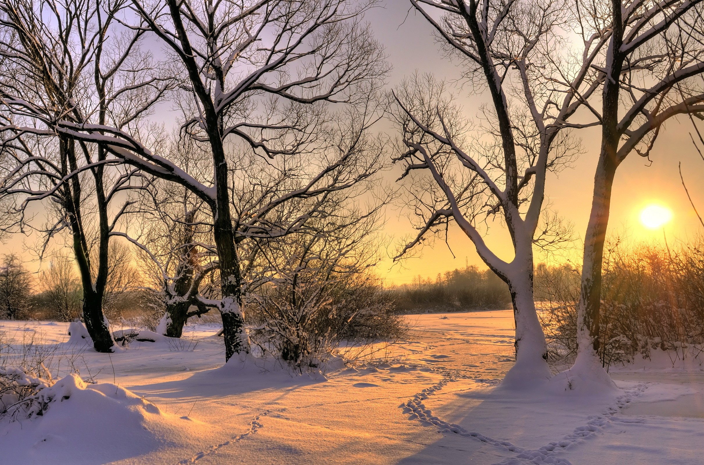 Winter landscape with snow-covered trees at sunset HD Wallpaper