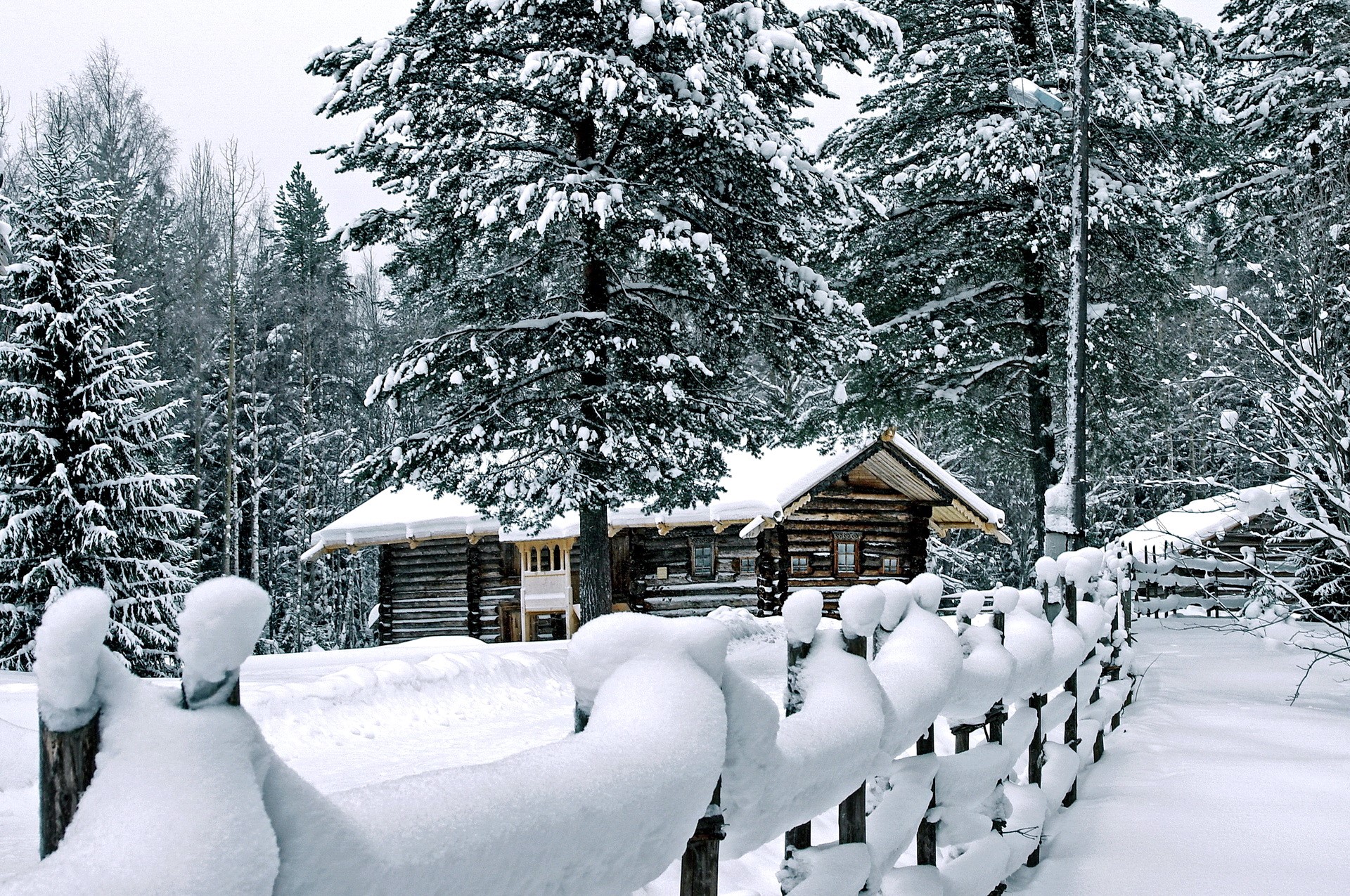 Winter scene with log cabins and snow-covered trees HD Wallpaper