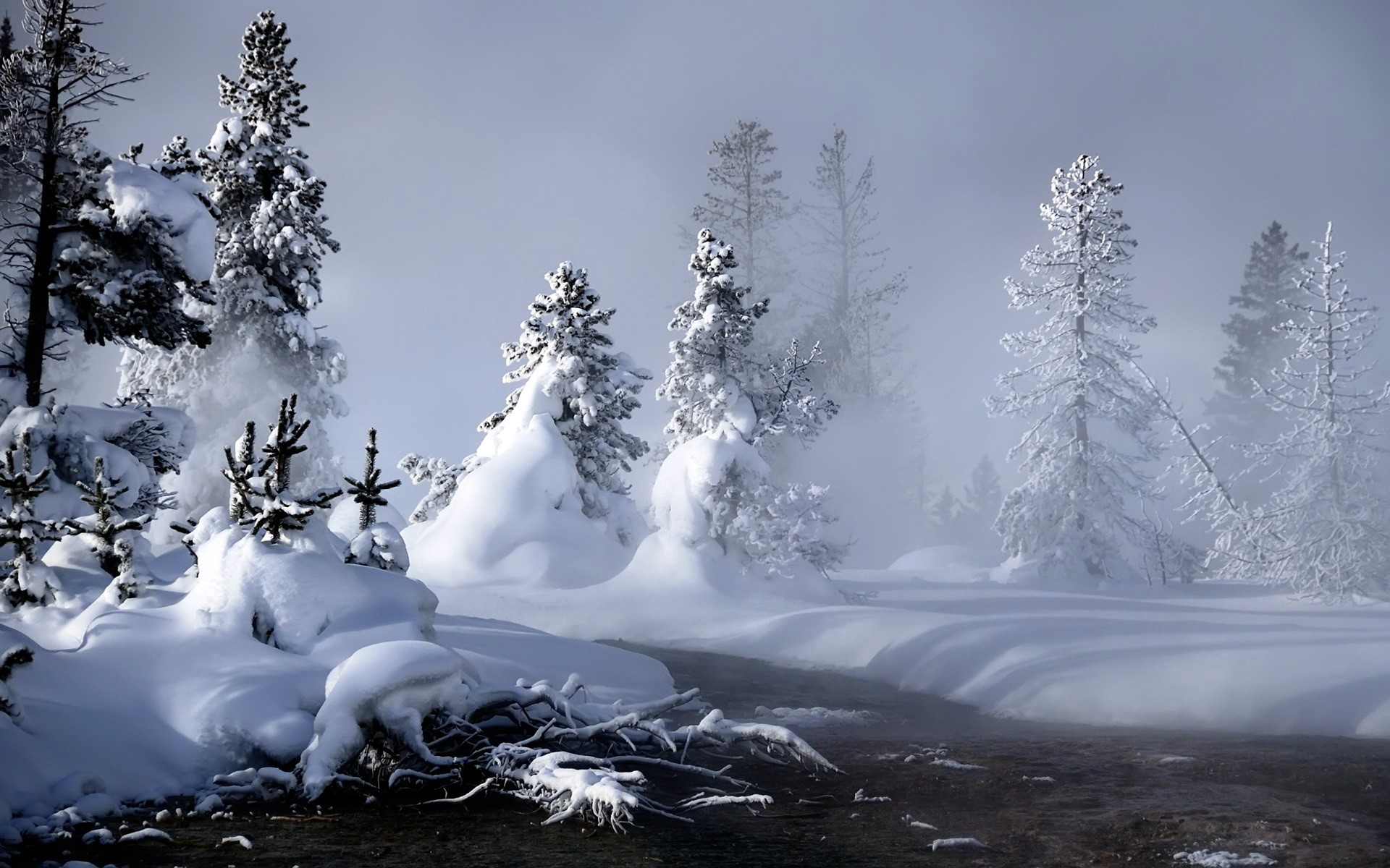 Snowy forest with steam rising from a river HD Wallpaper