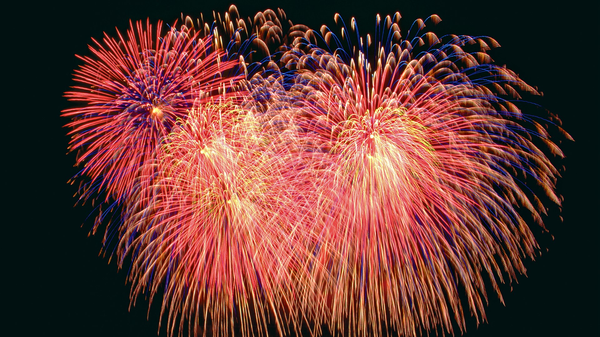 Colorful Fireworks Display Against a Dark Sky HD Wallpaper