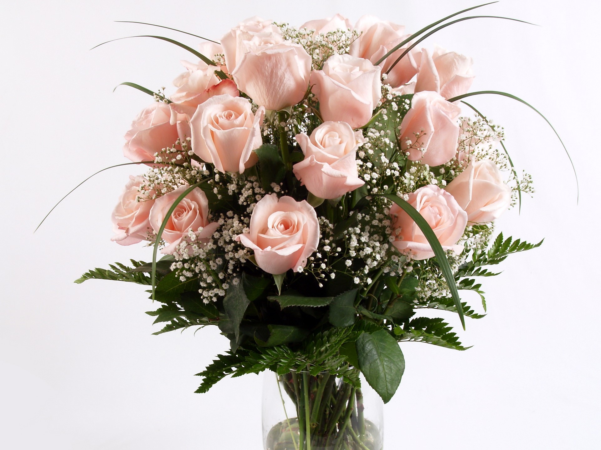 Bouquet of pink roses with baby's breath HD Wallpaper