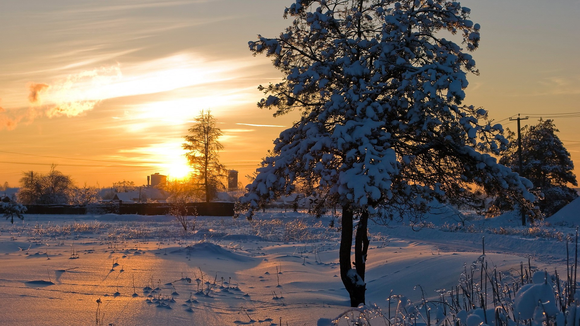 Winter sunset over a snowy landscape with trees HD Wallpaper