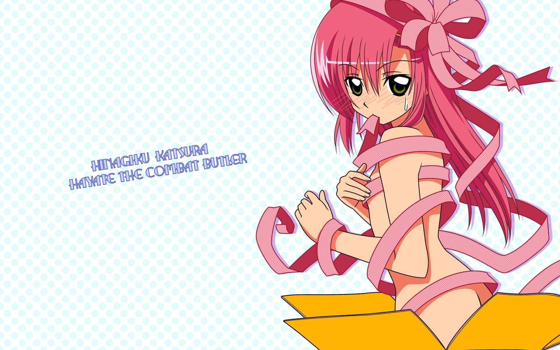Nagi Sanzenin from Hayate the Combat Butler HD Wallpaper