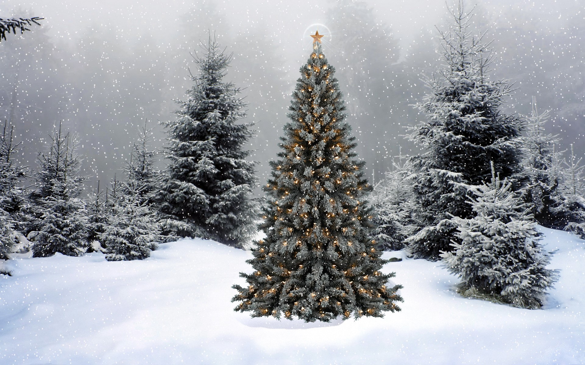 Decorated Christmas tree in a snowy forest HD Wallpaper