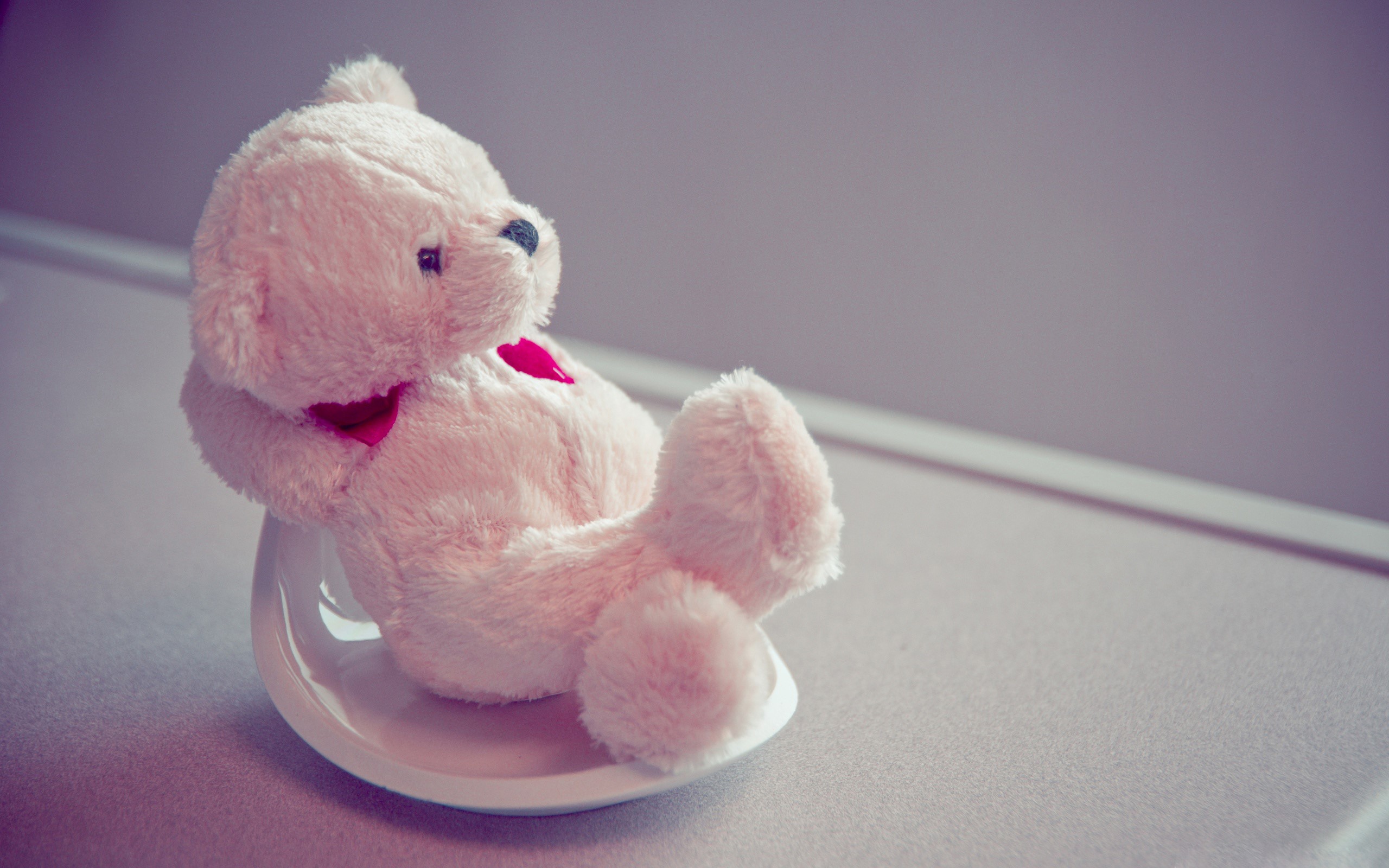 Pink teddy bear sitting on a white saucer HD Wallpaper