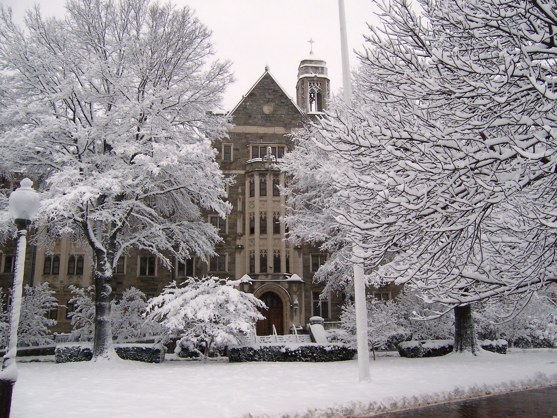 Snow covered building and trees in winter HD Wallpaper