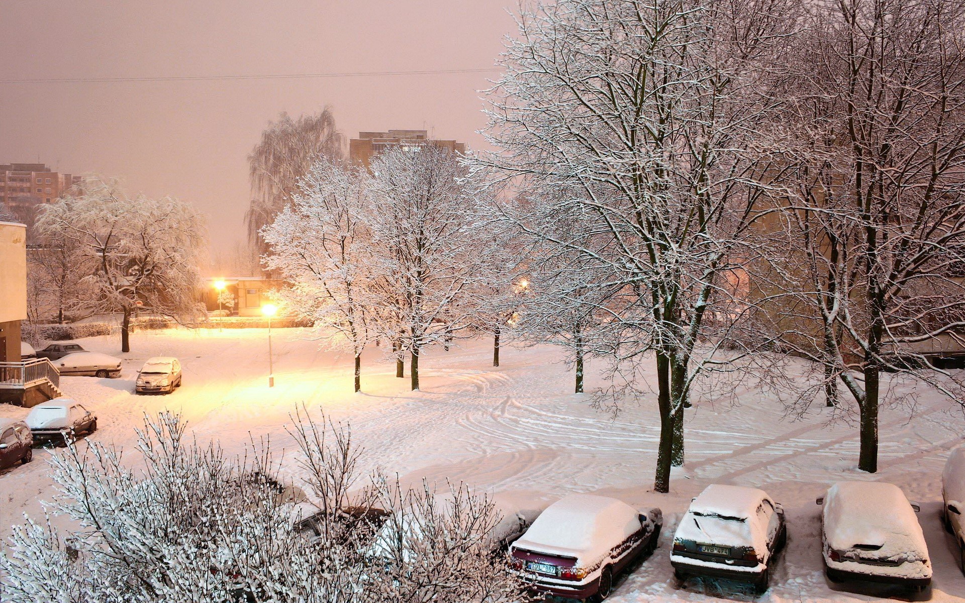 Snowy winter scene with parked cars and trees HD Wallpaper