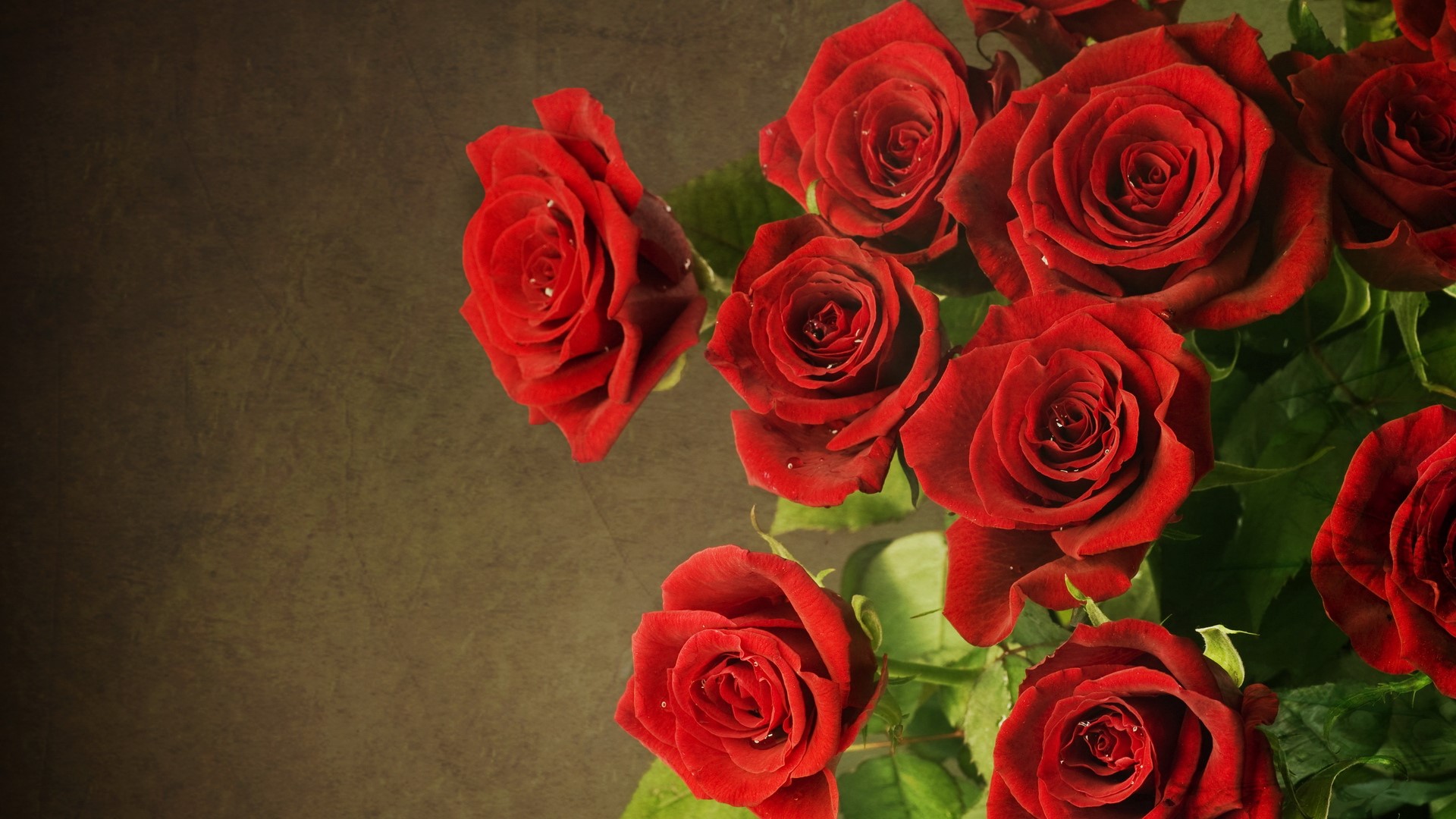 Red Roses on a Textured Background HD Wallpaper