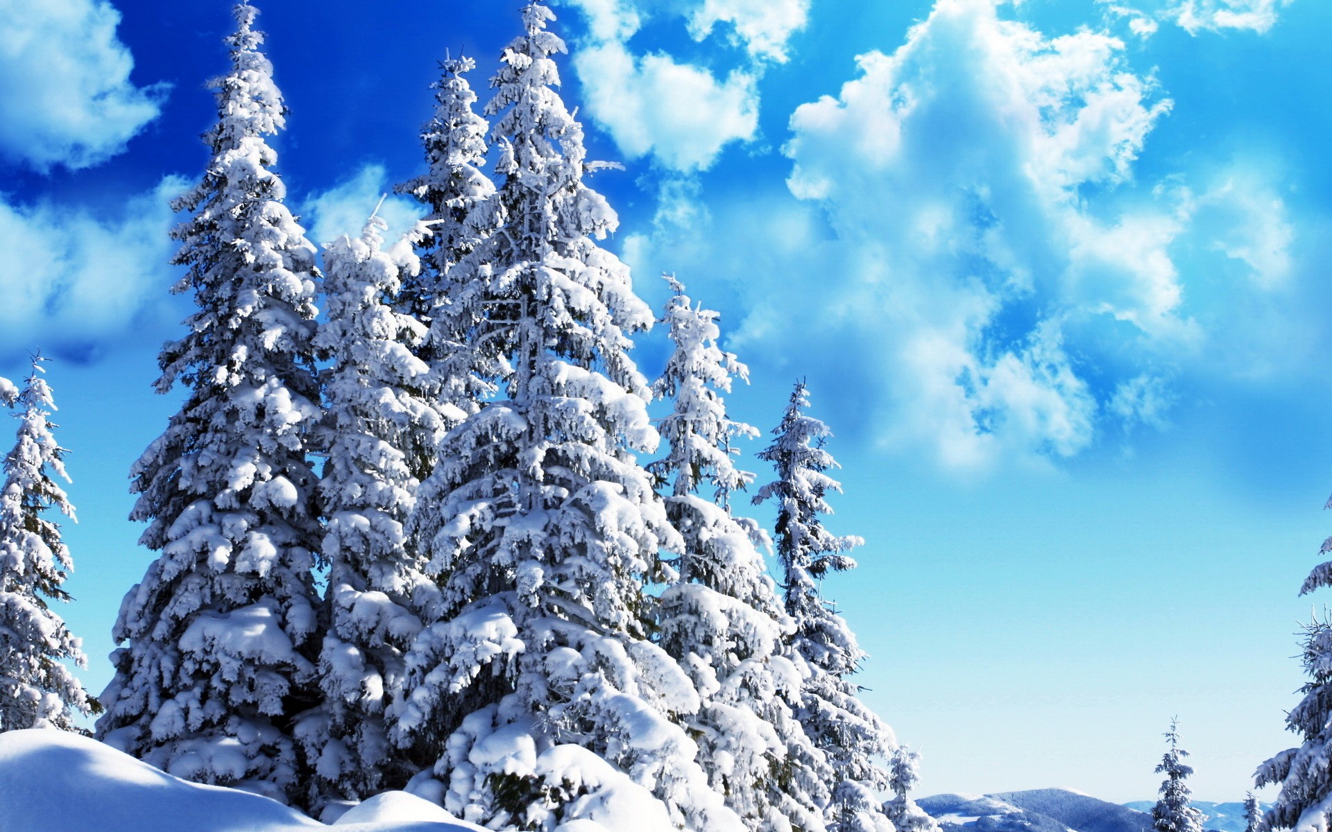 Snow-covered pine trees under a blue sky with clouds HD Wallpaper
