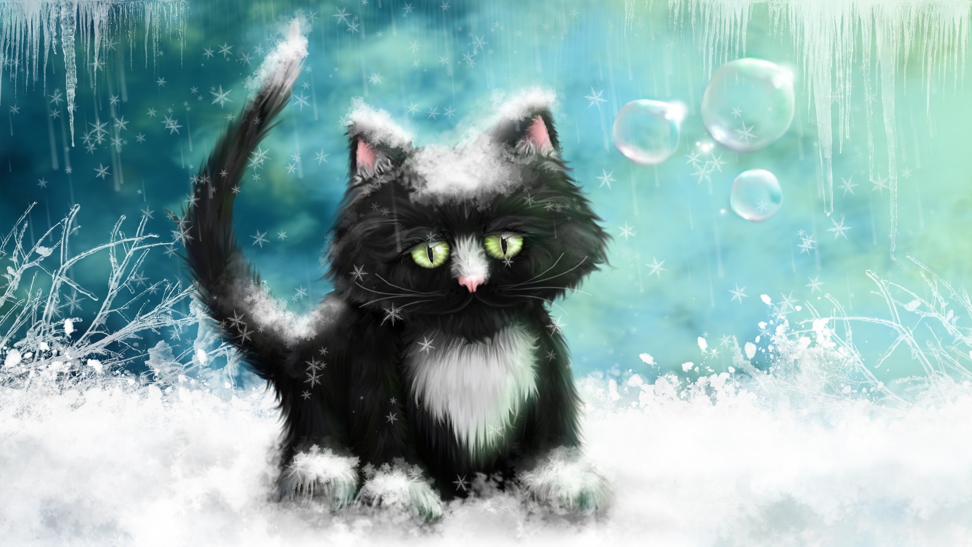 Black and white cat in snow with bubbles HD Wallpaper