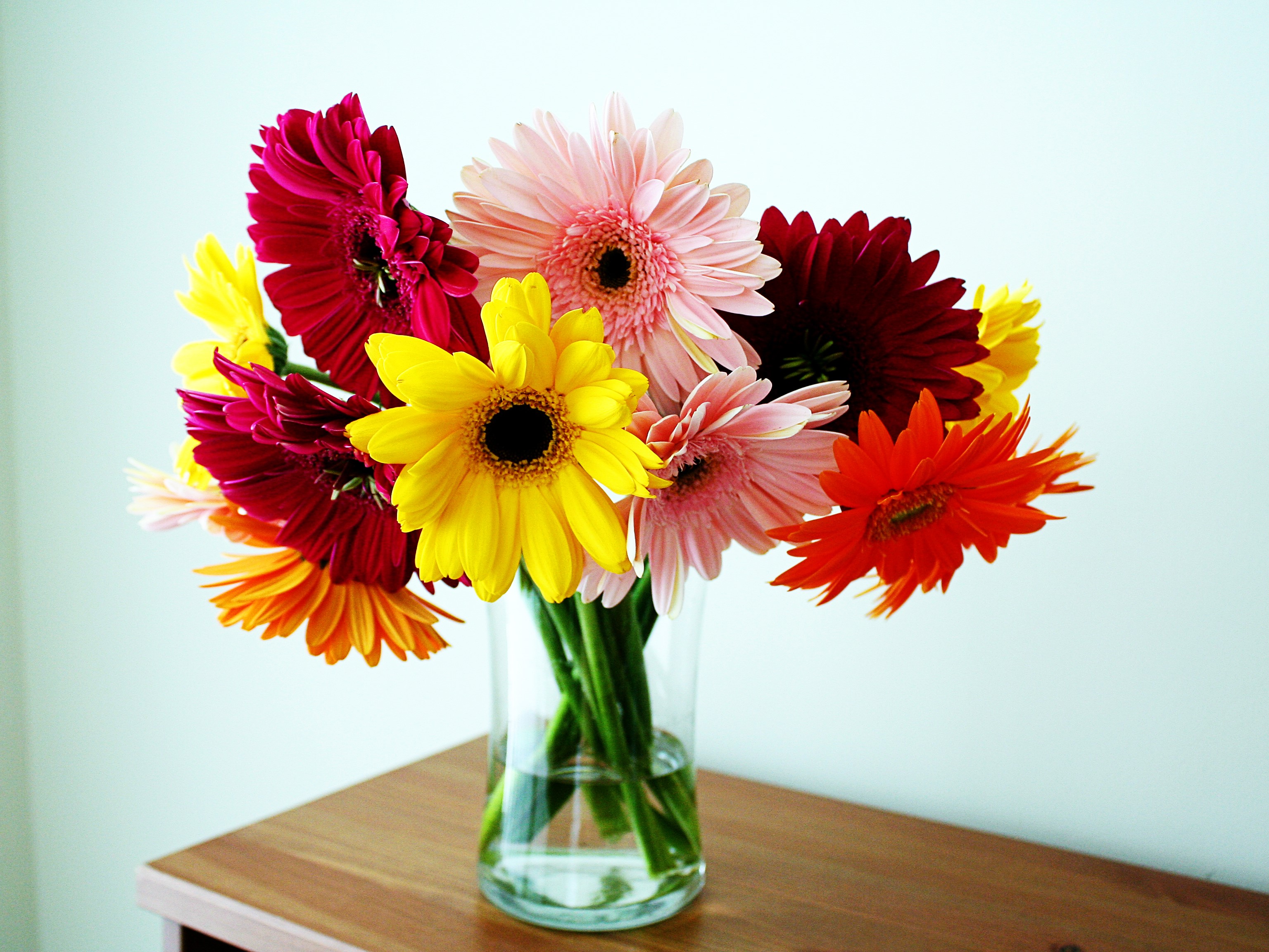 Bouquet of colorful Gerberas in a glass vase HD Wallpaper