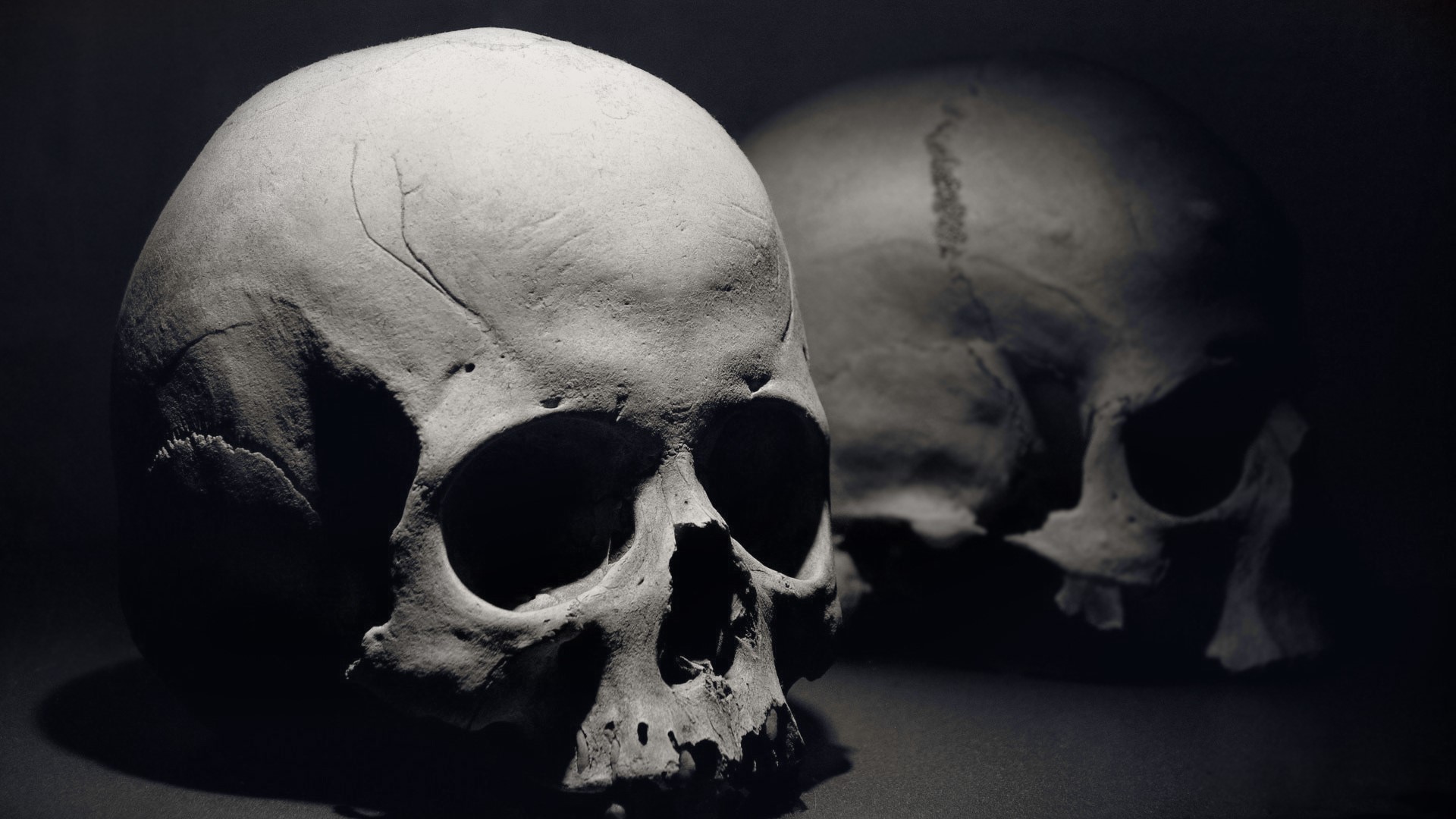 Two skulls in dramatic lighting HD Wallpaper