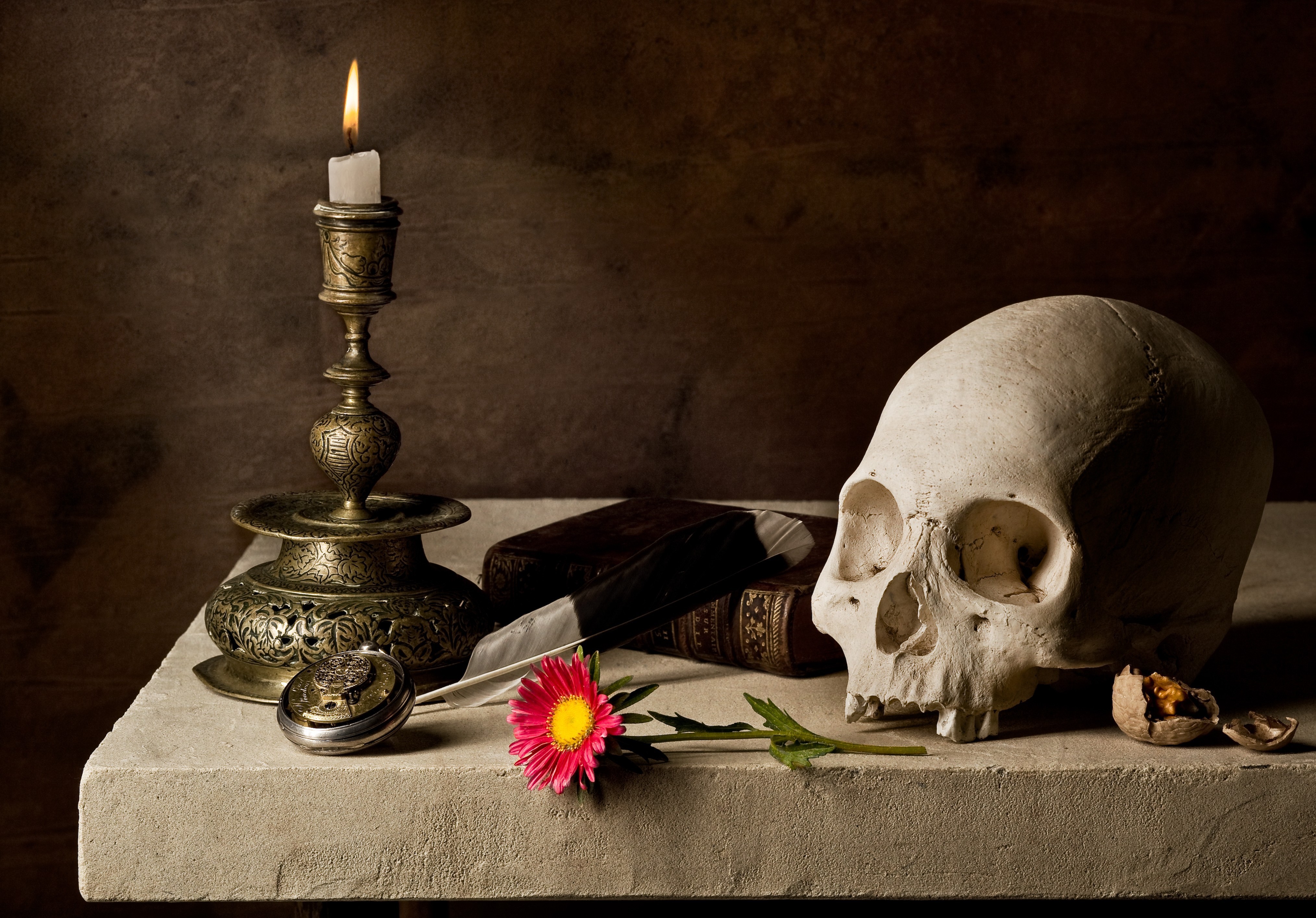 Still life with skull, candle, and flower HD Wallpaper