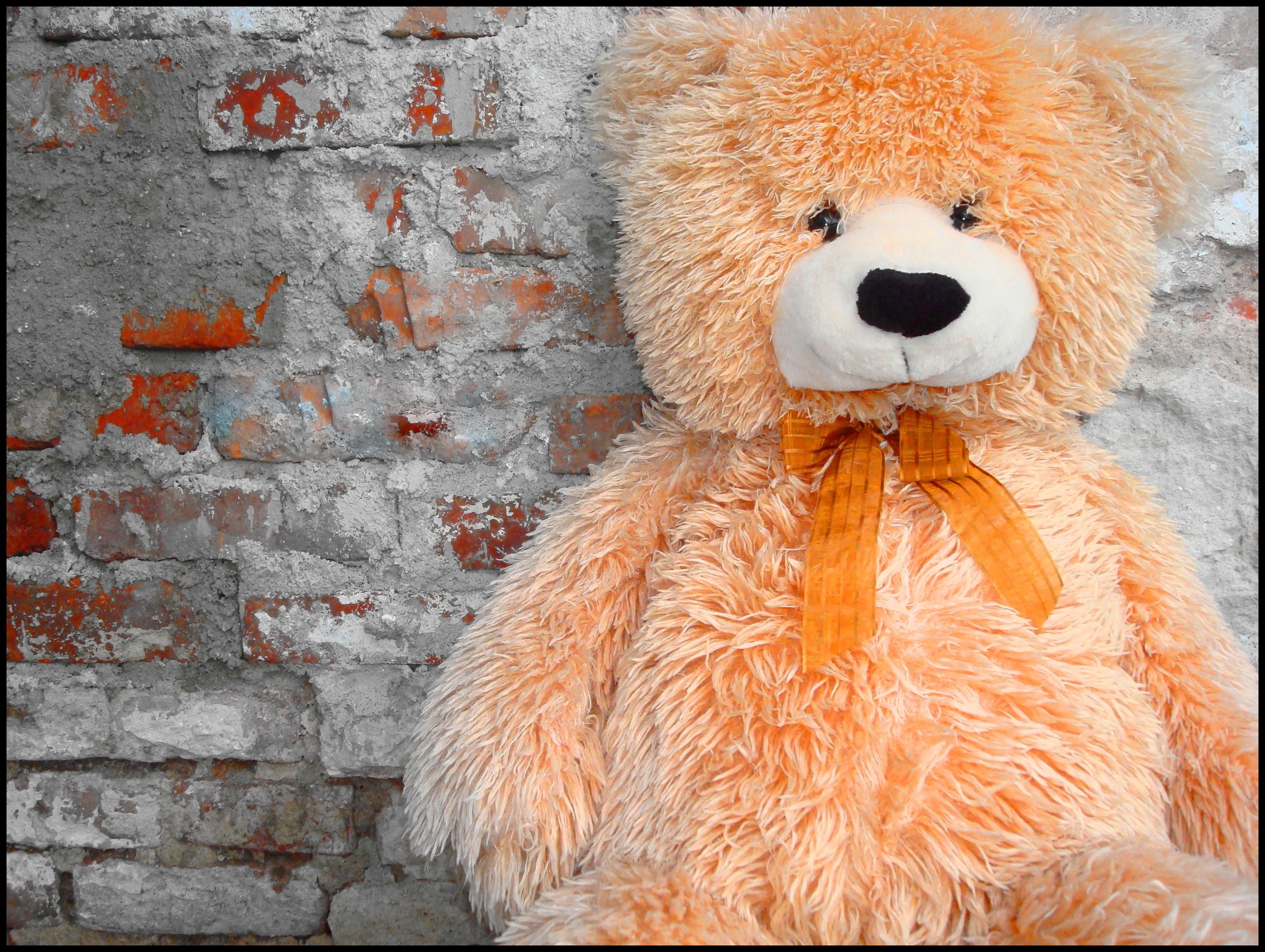 Orange teddy bear with ribbon against brick wall HD Wallpaper